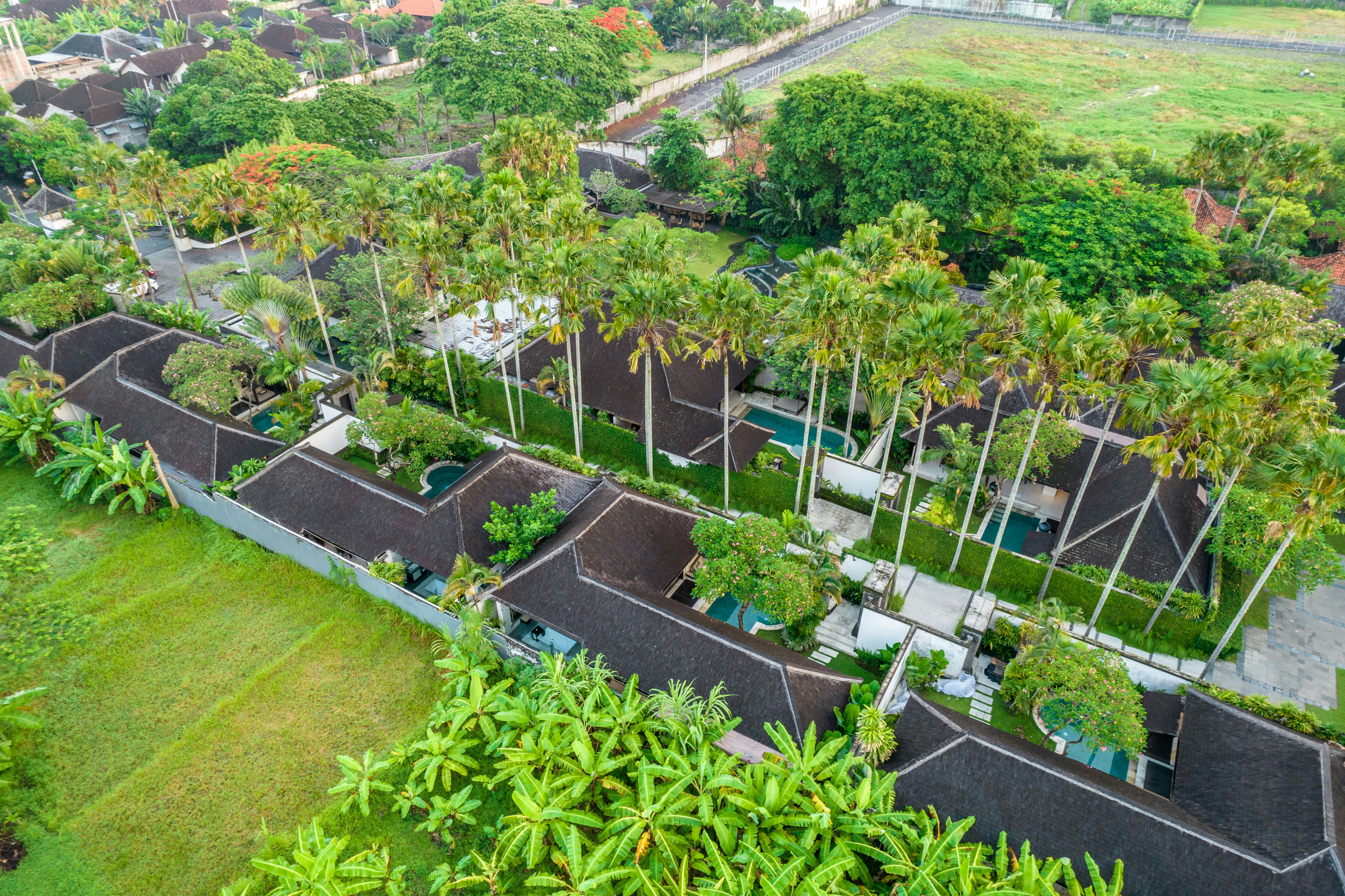 An aerial view of a lush green park