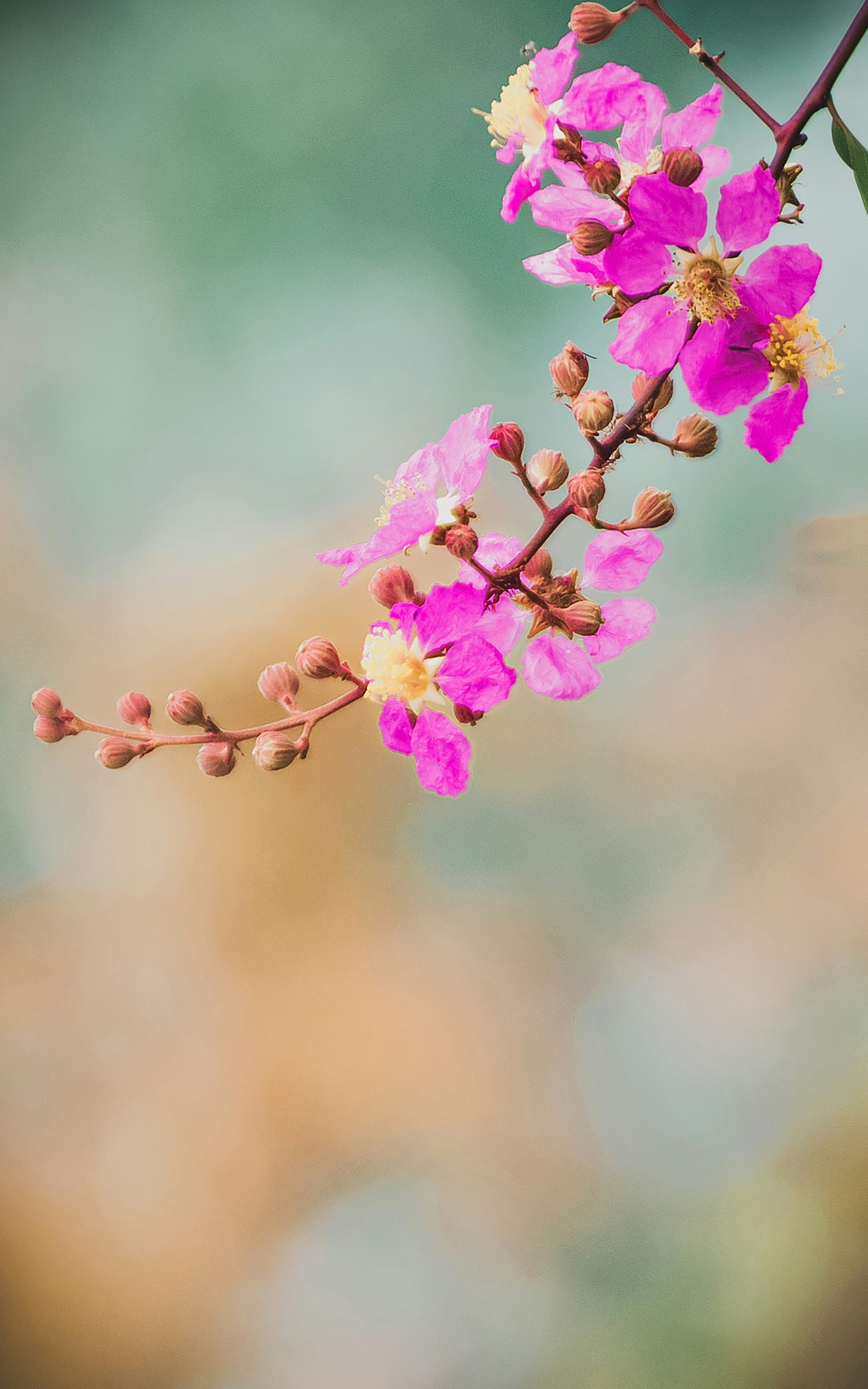 Photo by juki_damaks