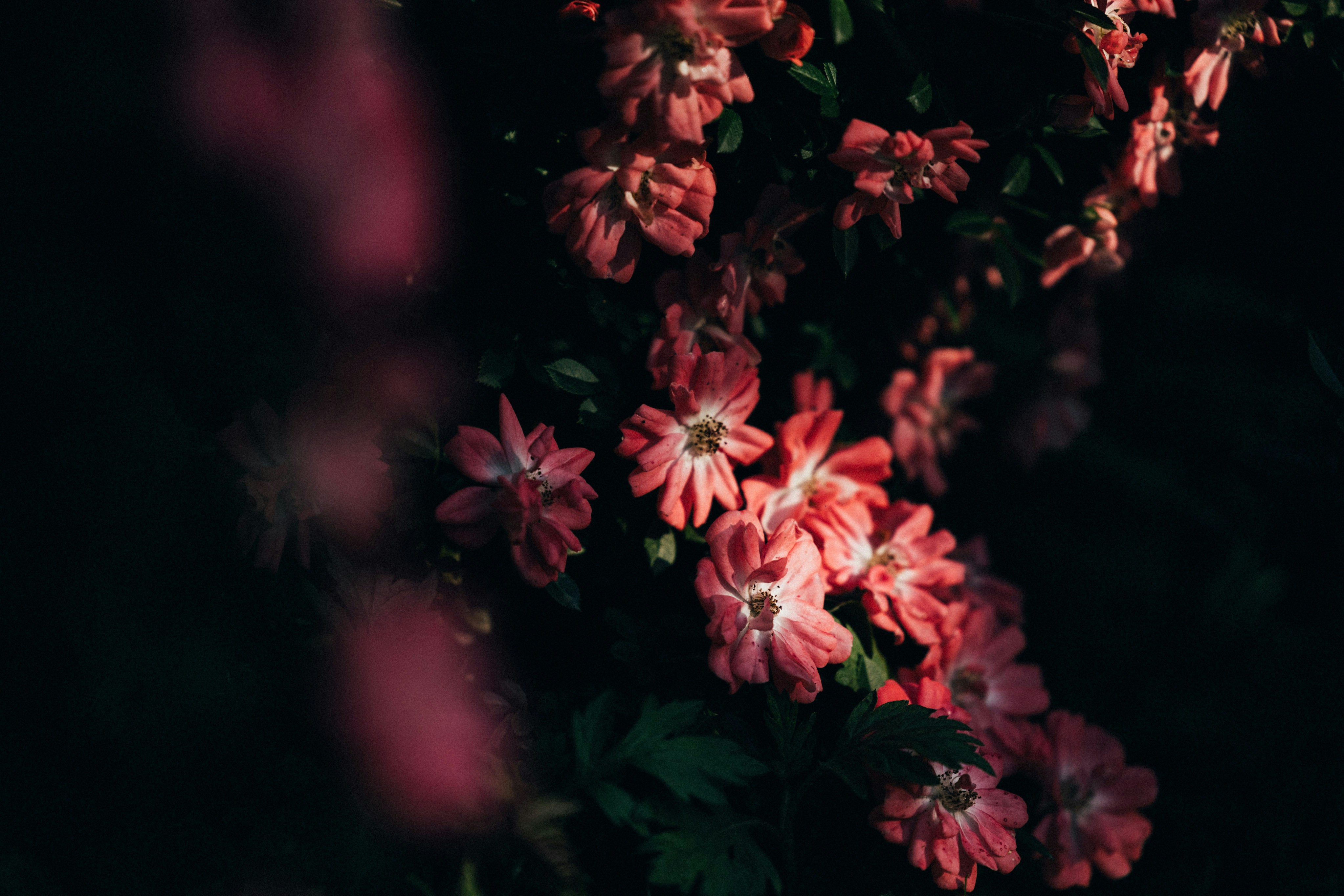 Photo by tsuyoshikozu