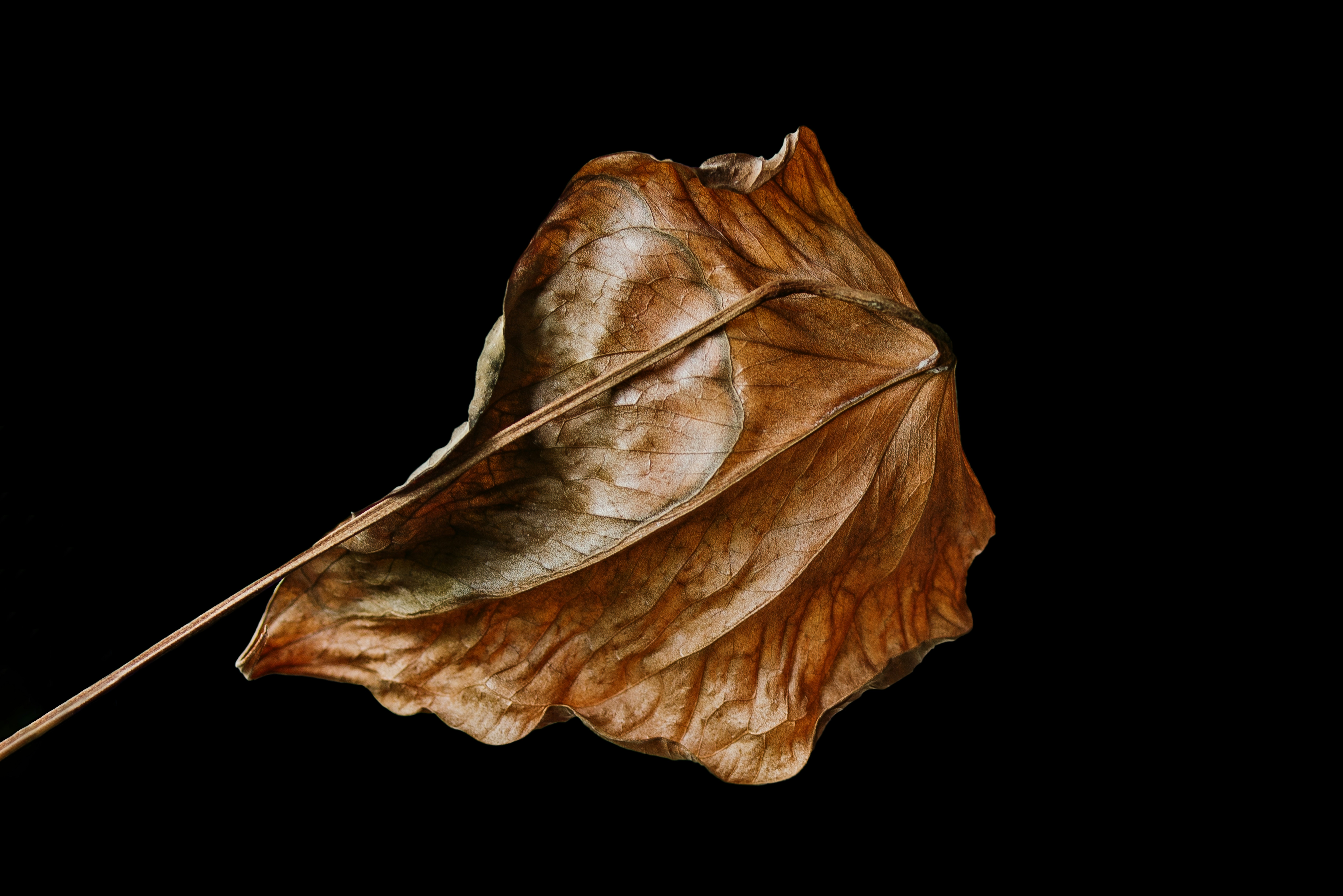 Photo by switch_dtp_fotografie