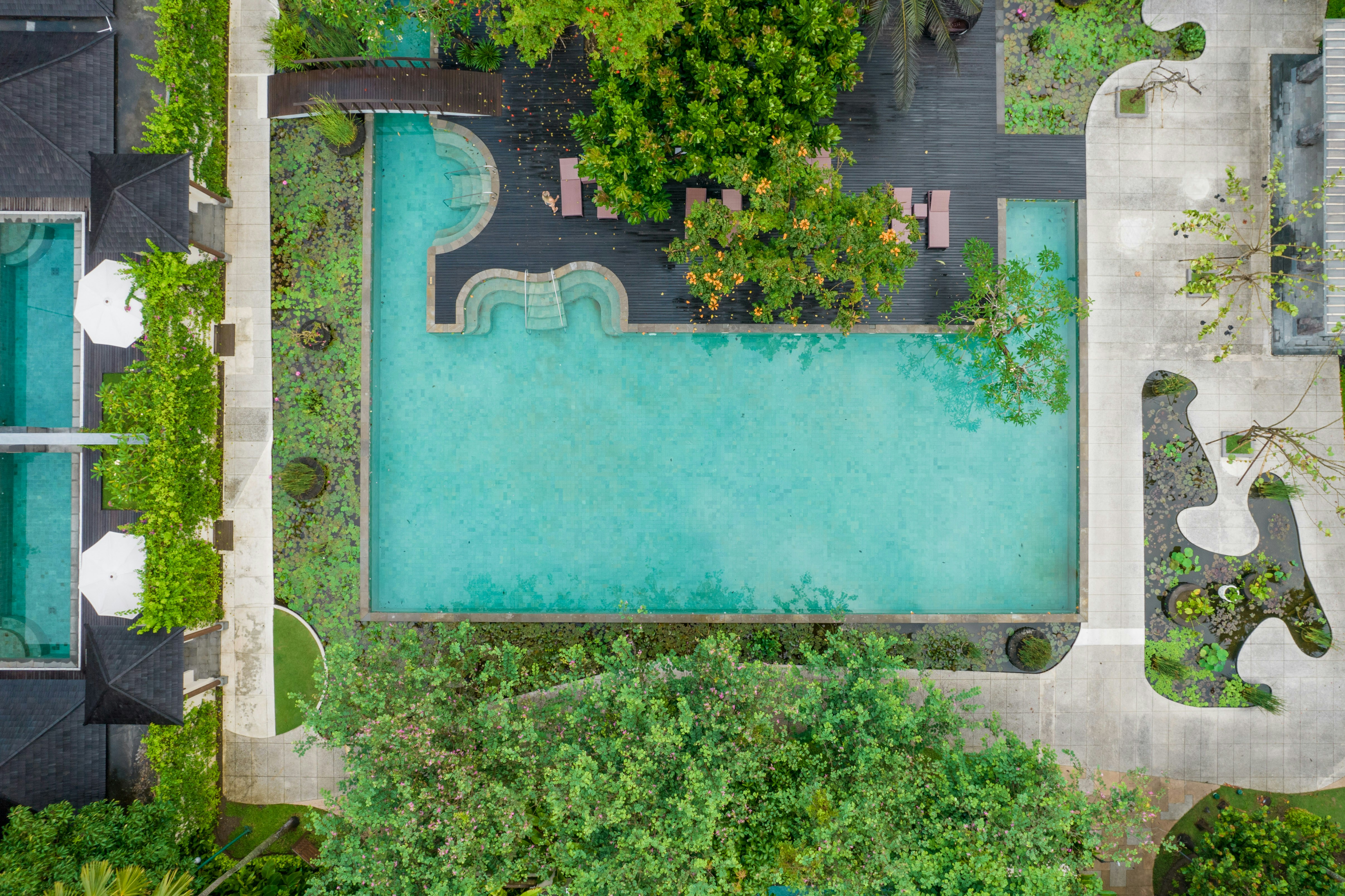 Photo by antonioaaaraujo