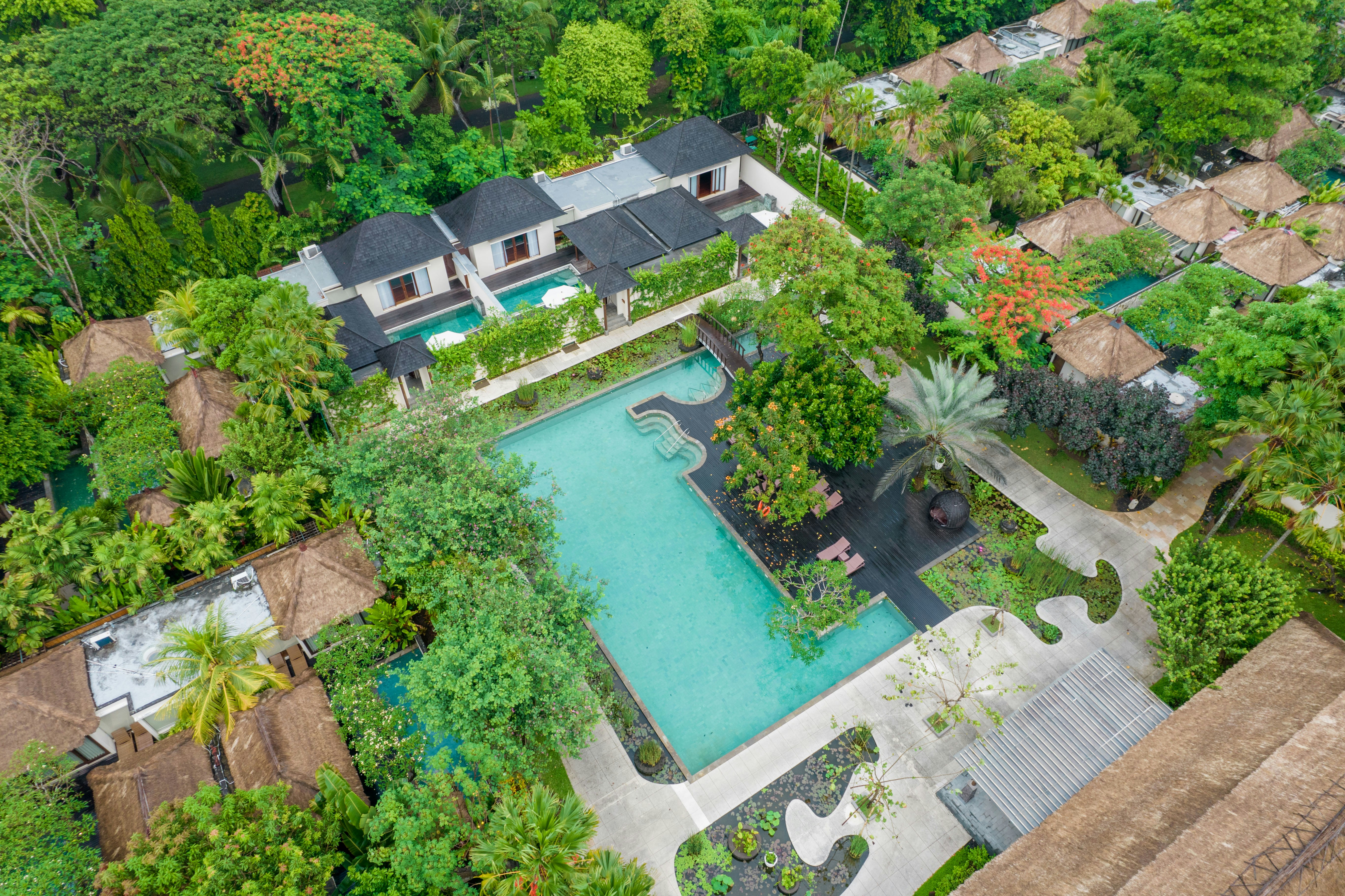 Photo by antonioaaaraujo