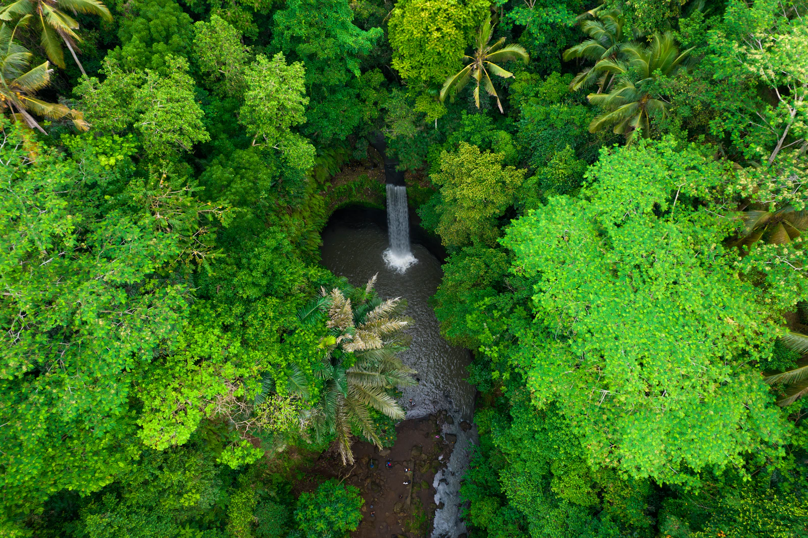 COMO Shambhala Estate: A Dedicated Wellness Retreat Above the Ayung