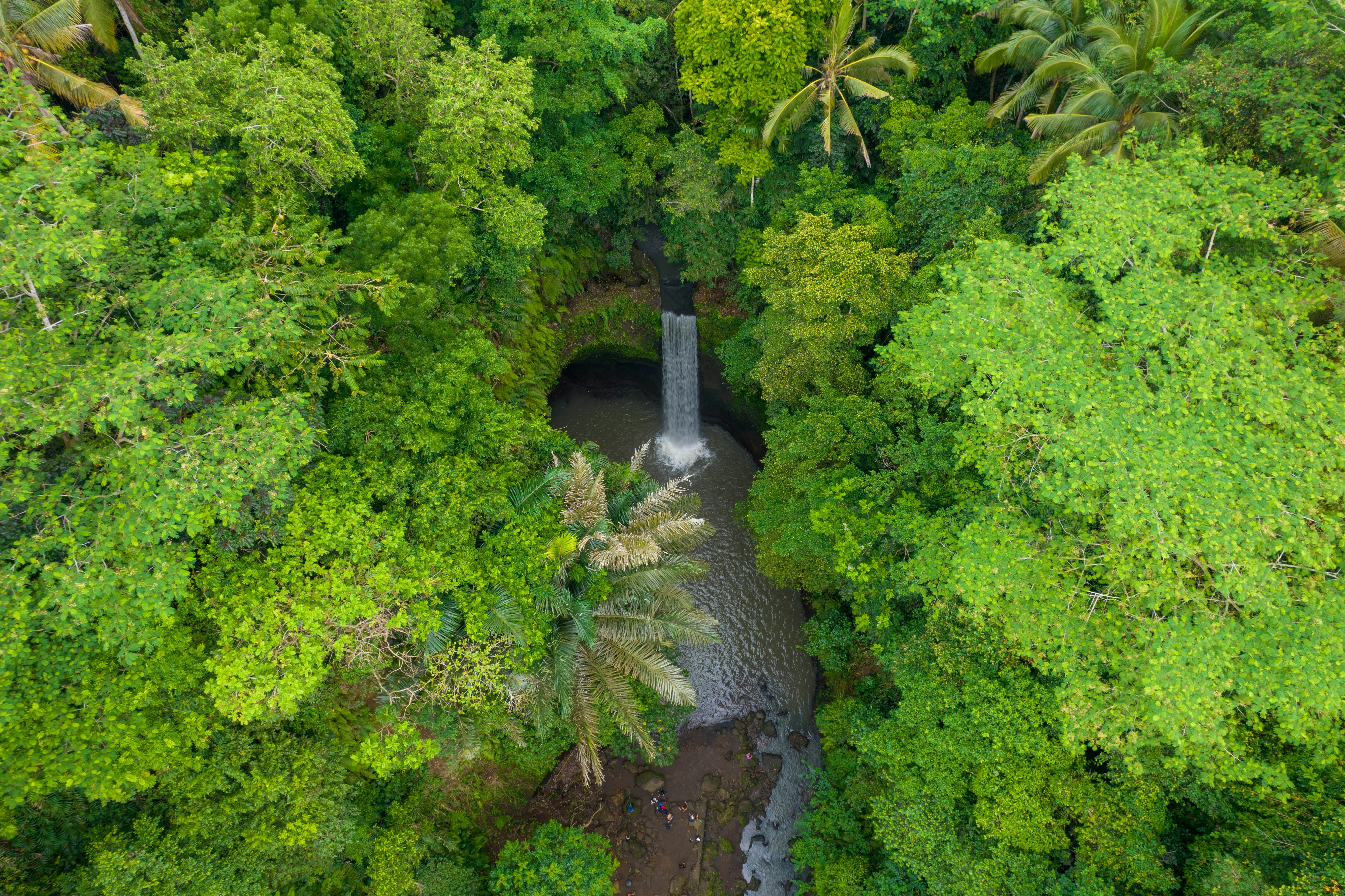 Photo by antonioaaaraujo