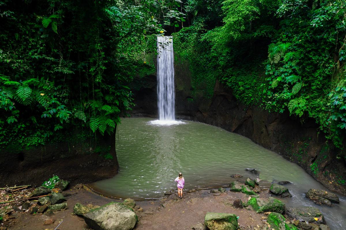 Munduk Waterfall Trail & Forest Clove Plantation Trek