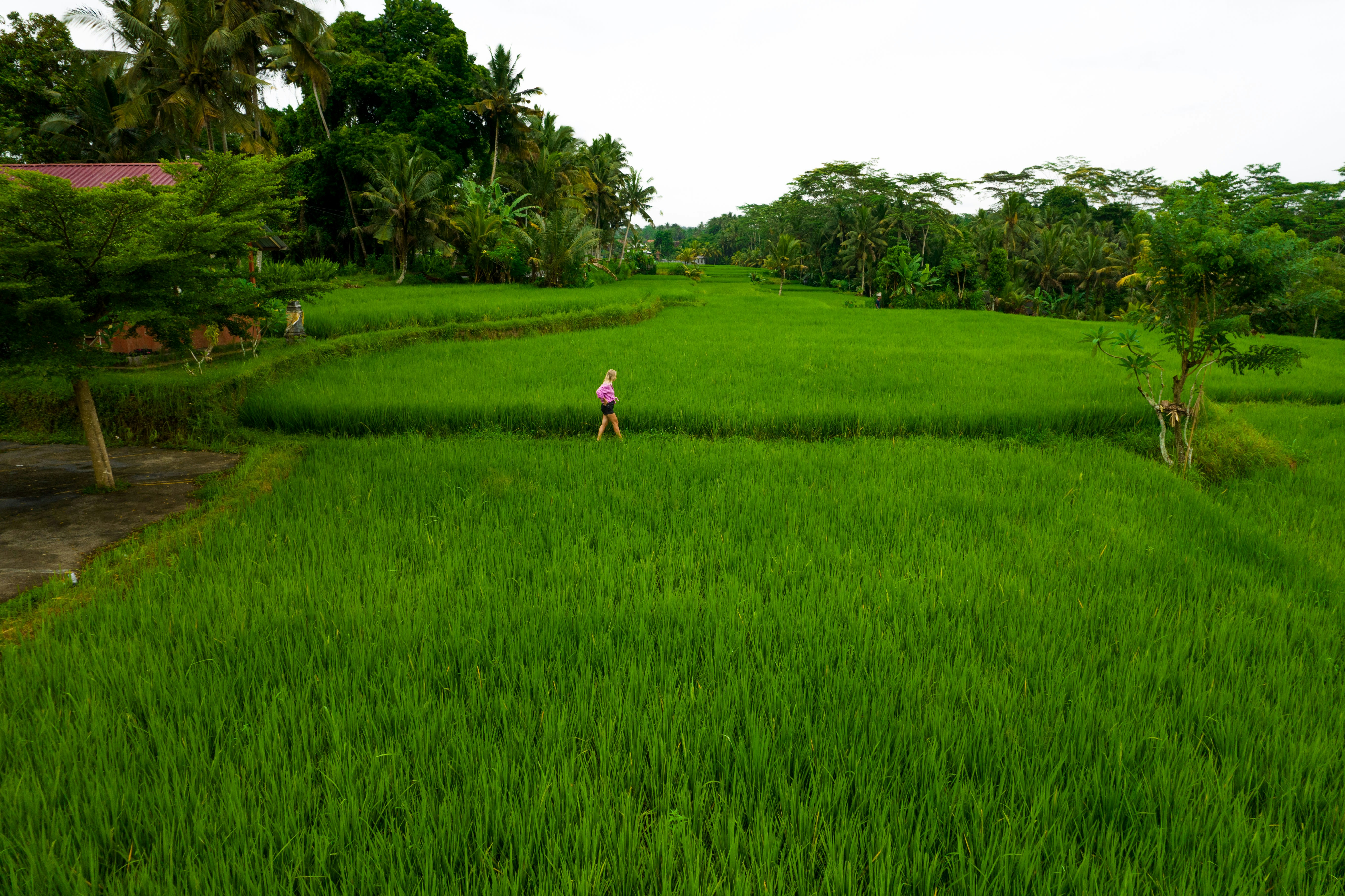 Photo by antonioaaaraujo