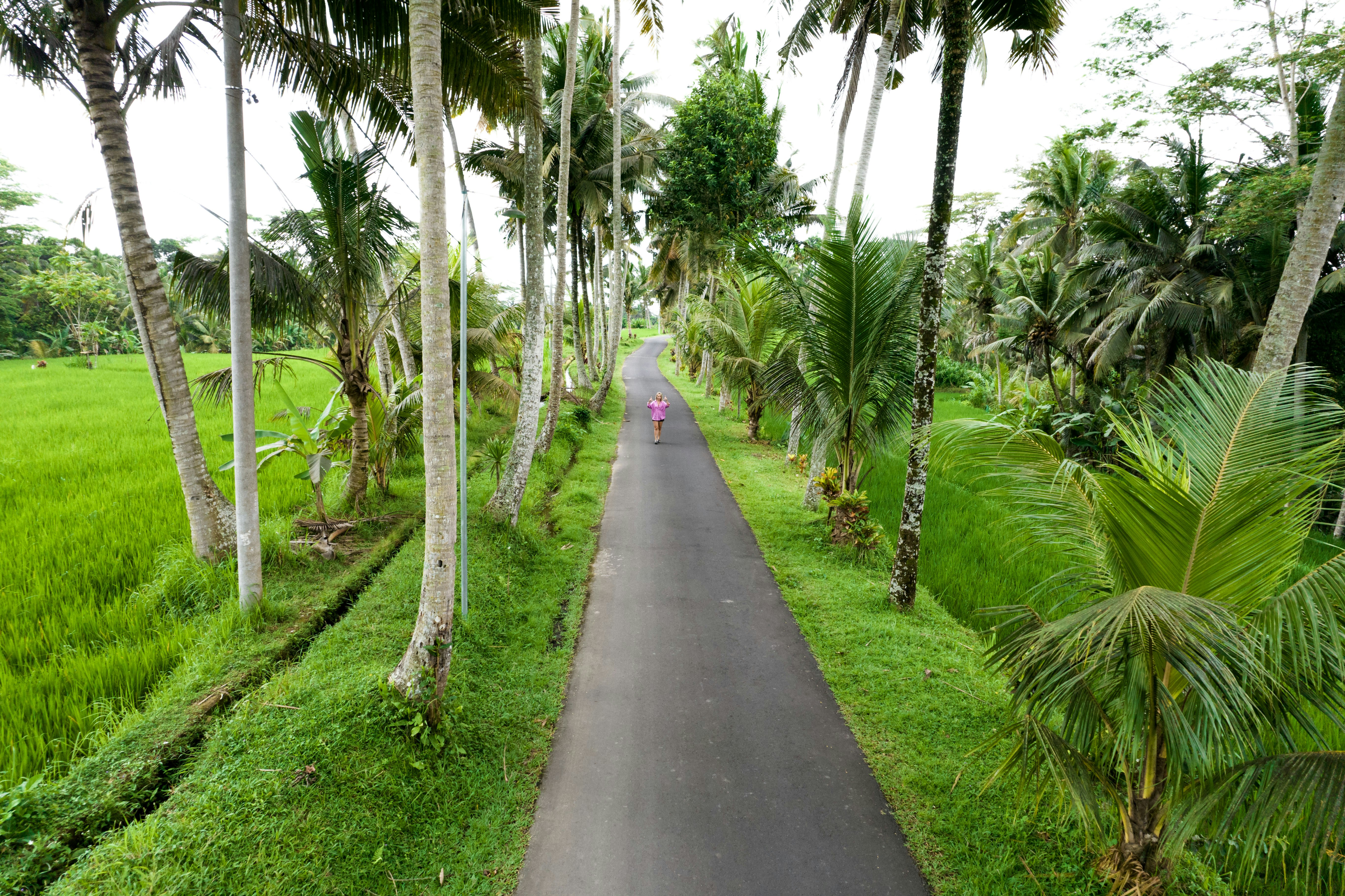 Photo by antonioaaaraujo