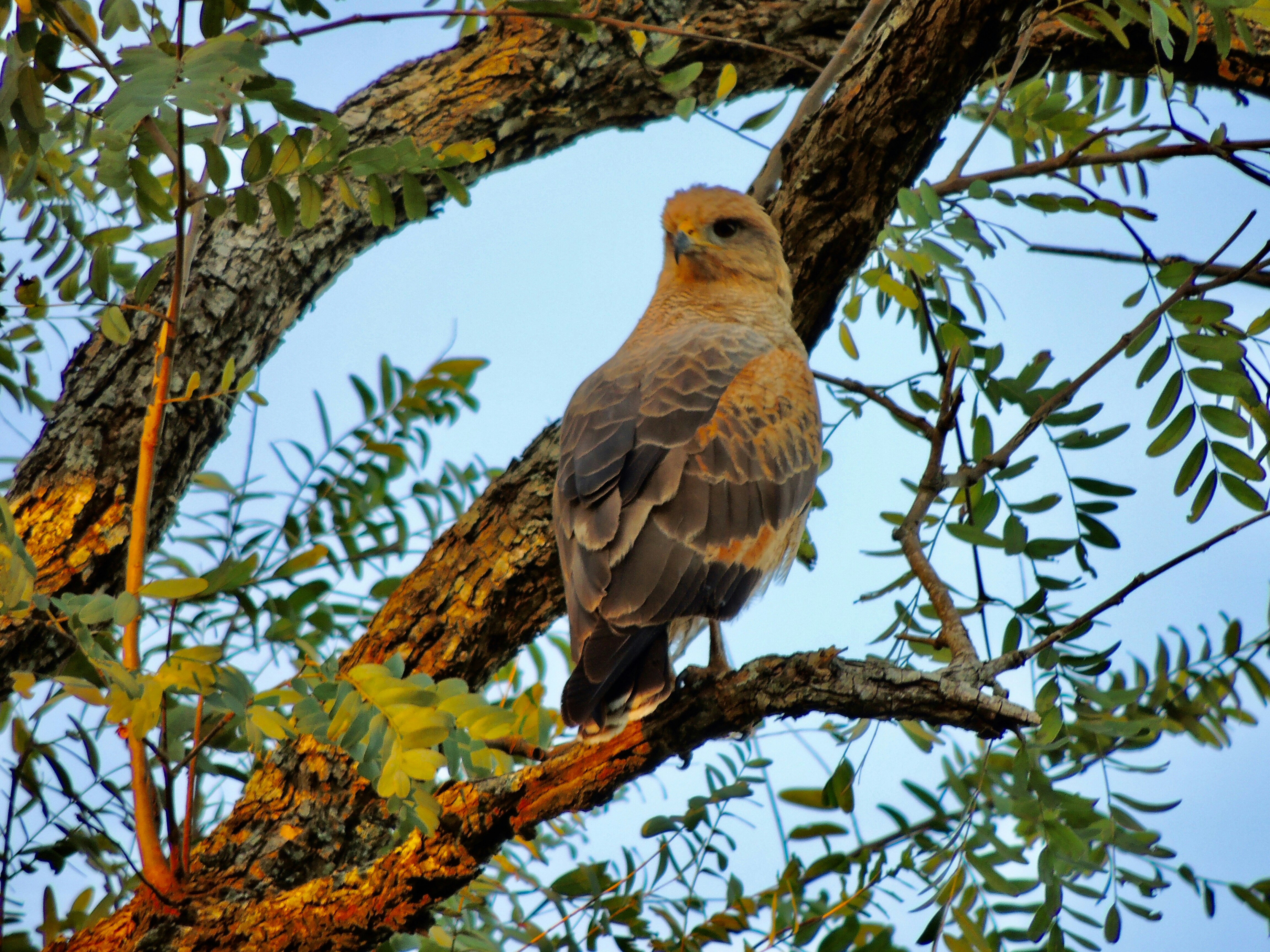 Photo by sunshinestudio82