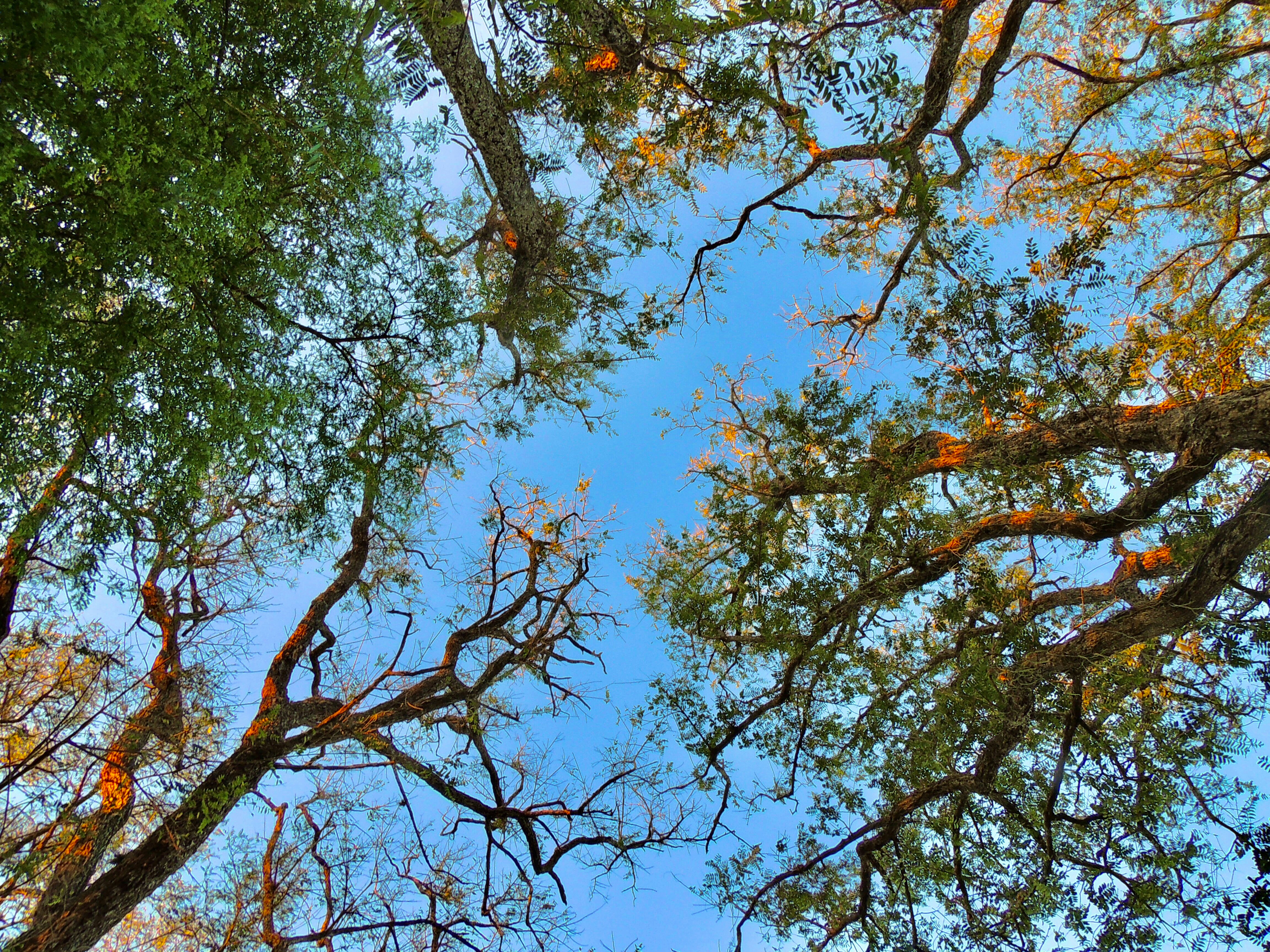 Photo by sunshinestudio82