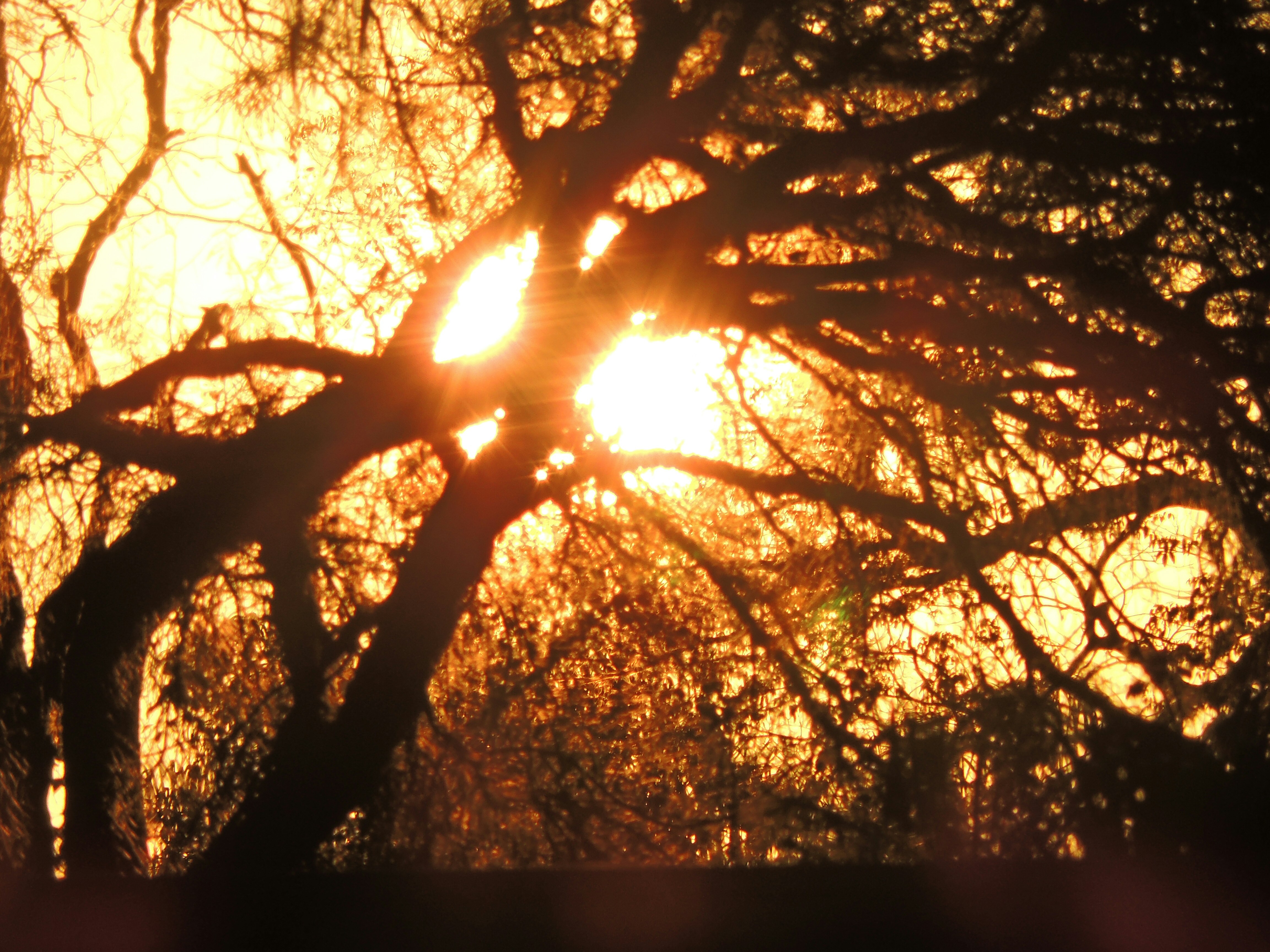 Photo by sunshinestudio82