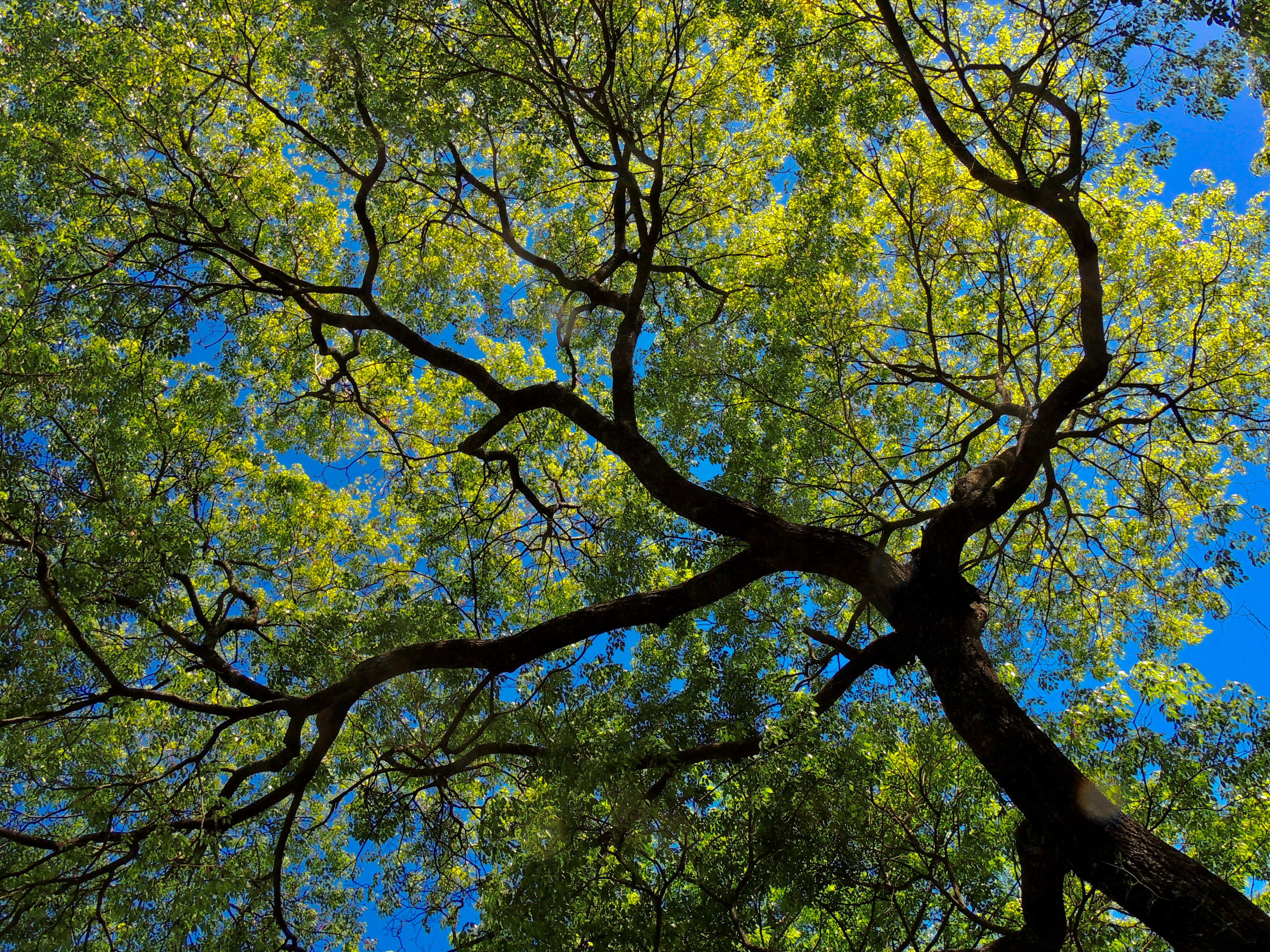 Photo by sunshinestudio82