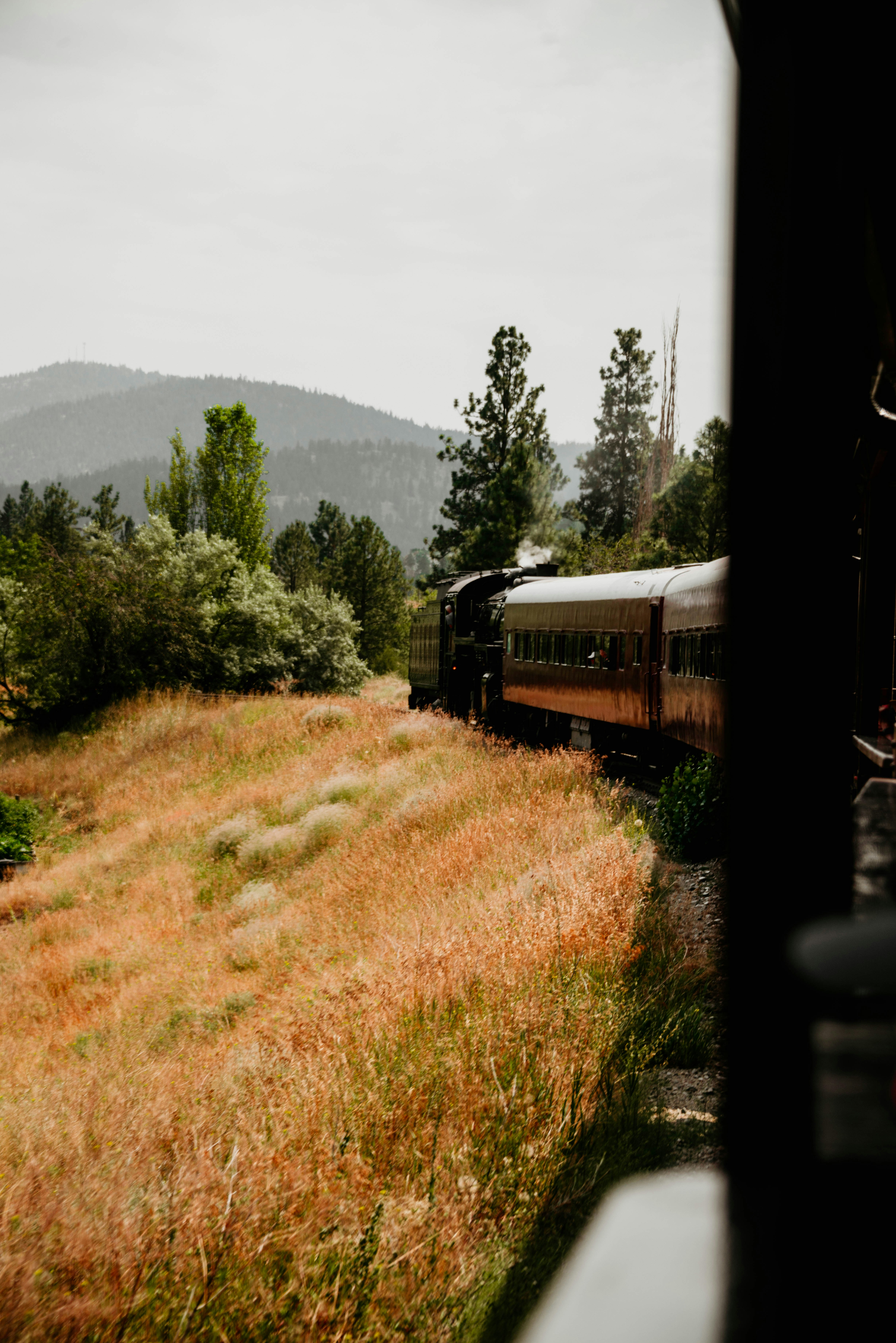 A train traveling through a lush green countryside