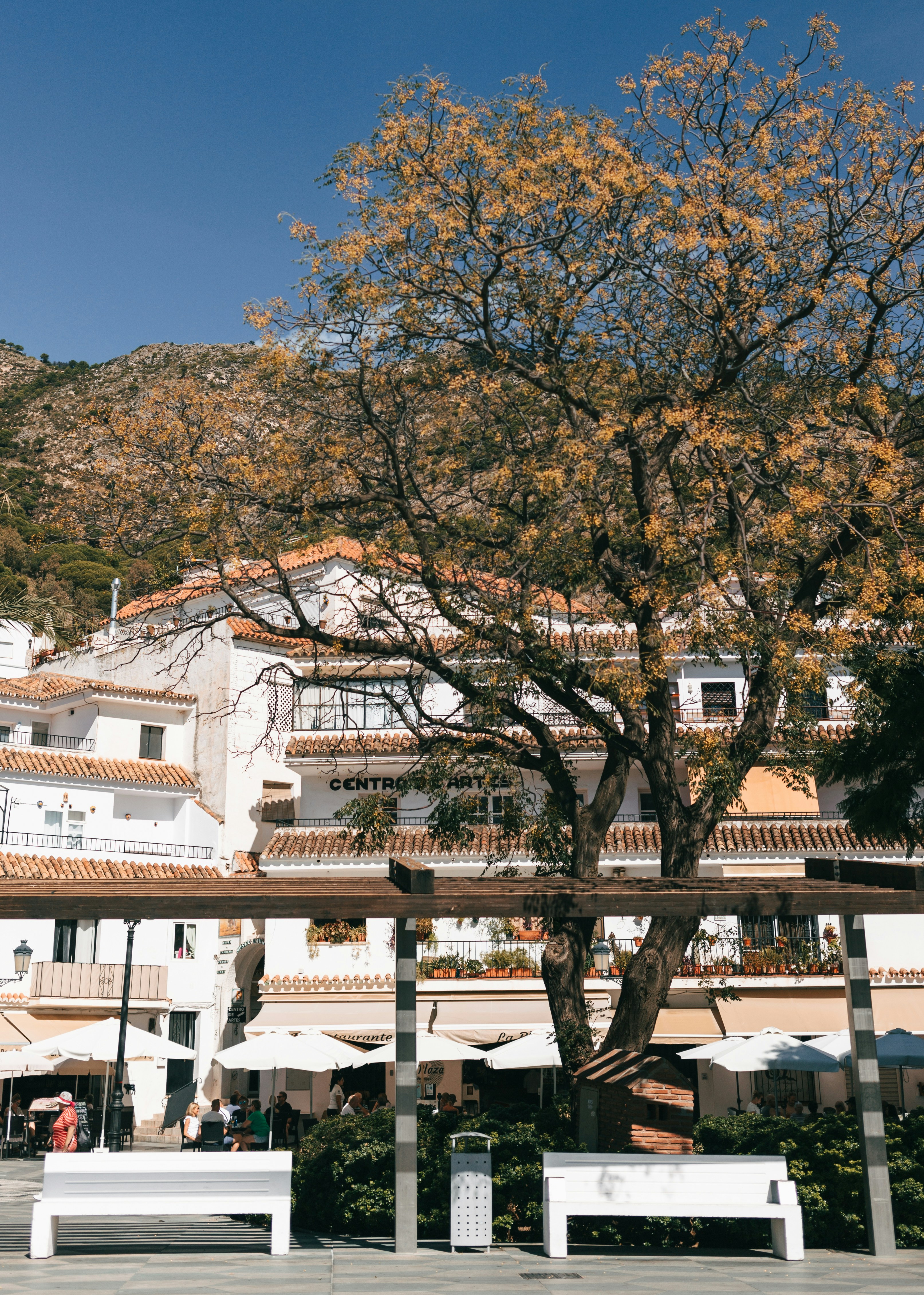 Photo by juliamatuzova