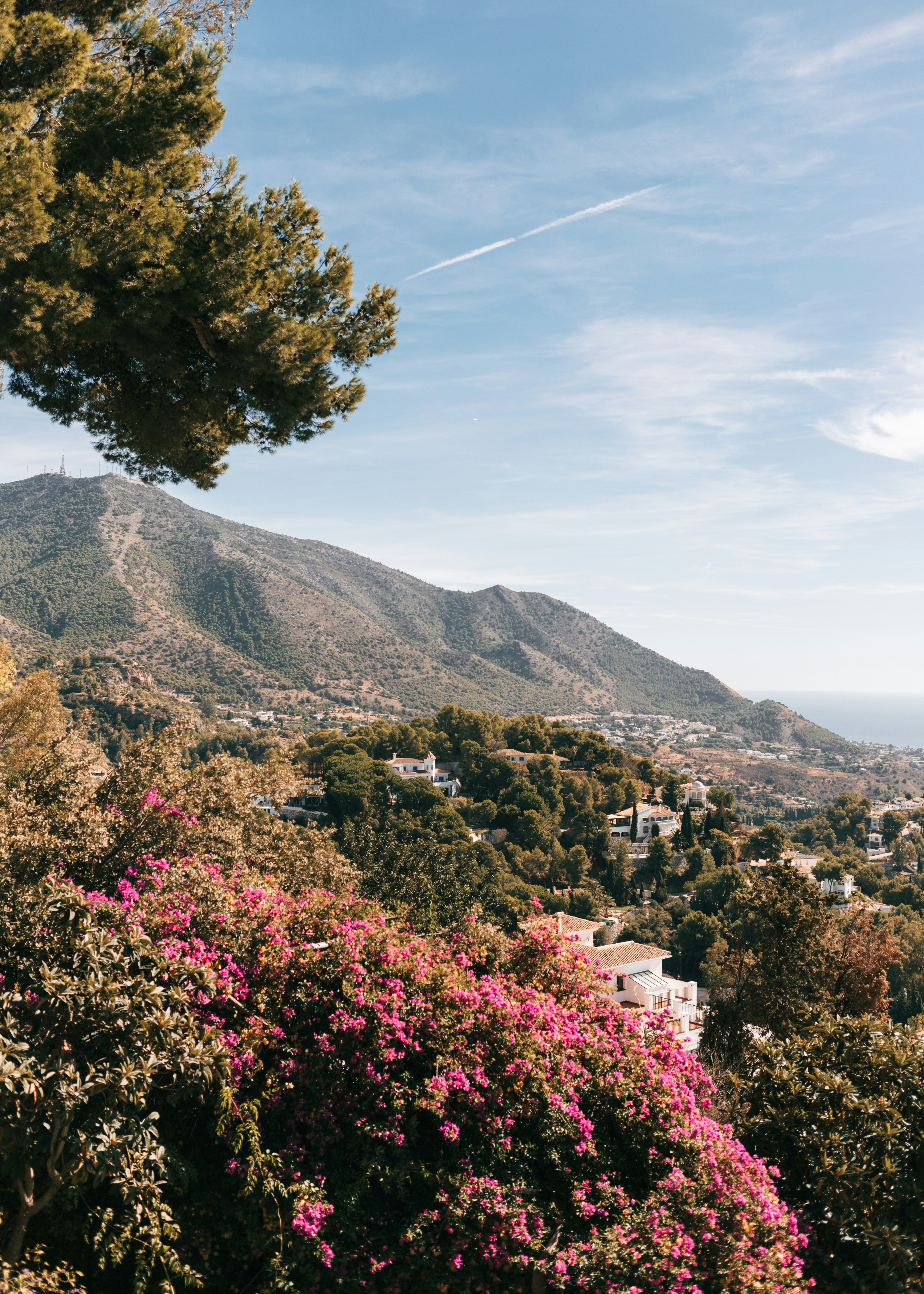 Photo by juliamatuzova