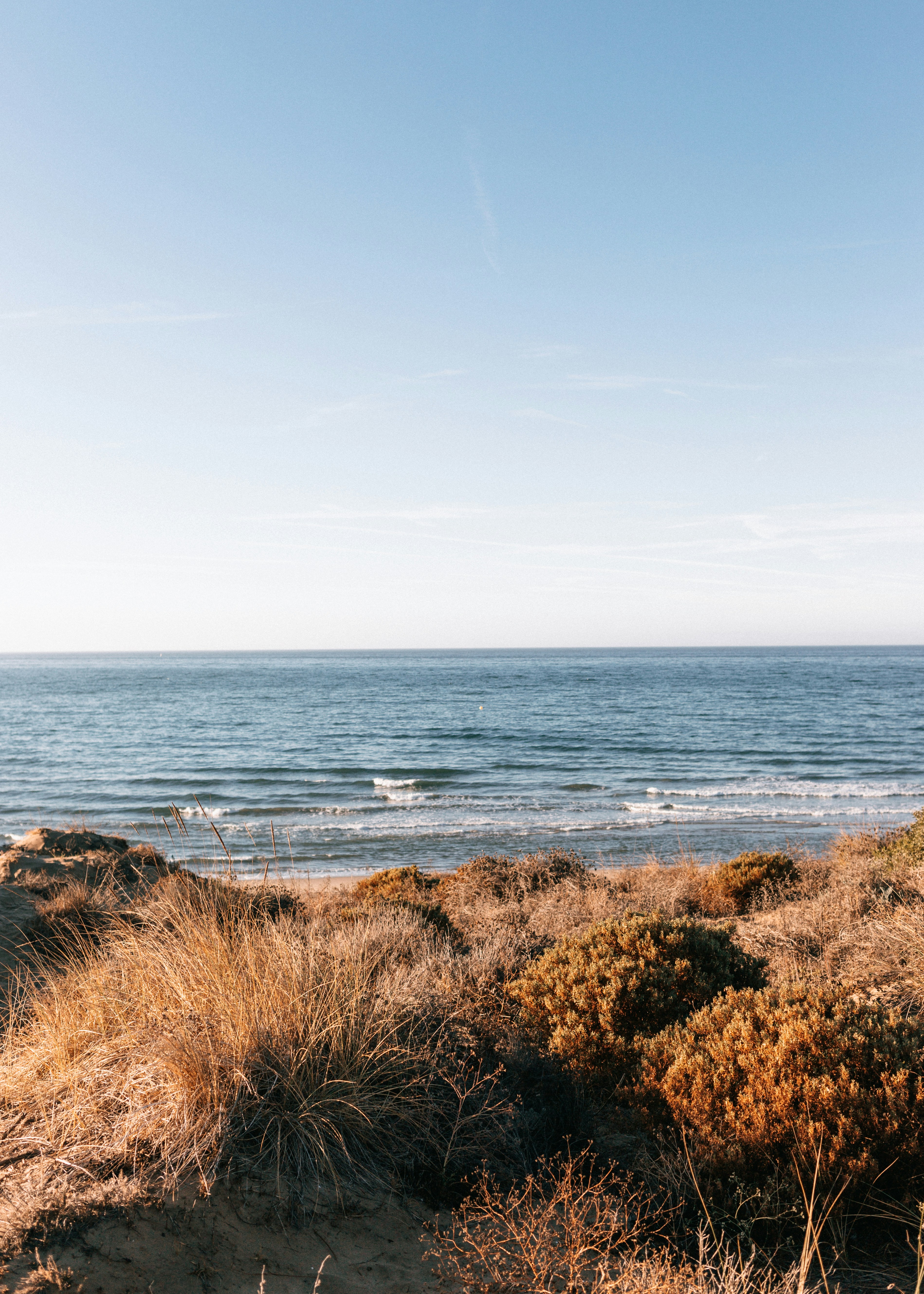 Photo by juliamatuzova