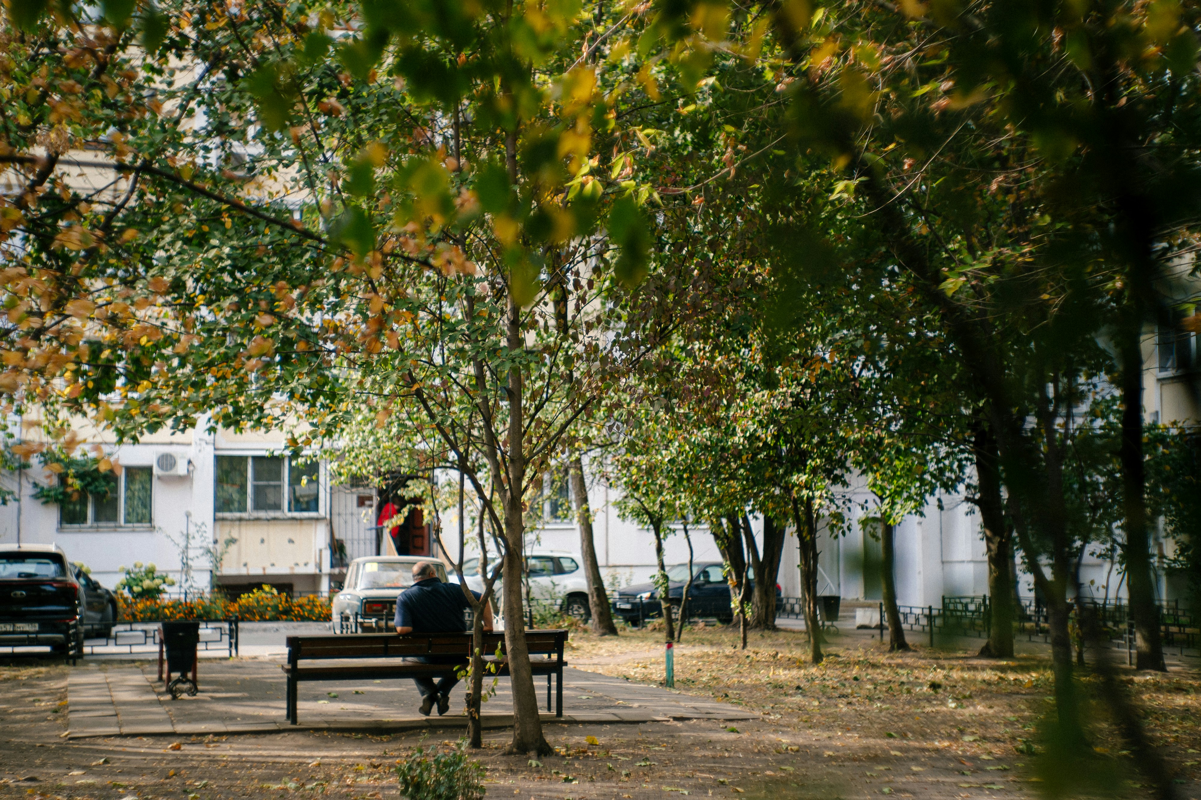 A couple of people sitting on a bench in a park