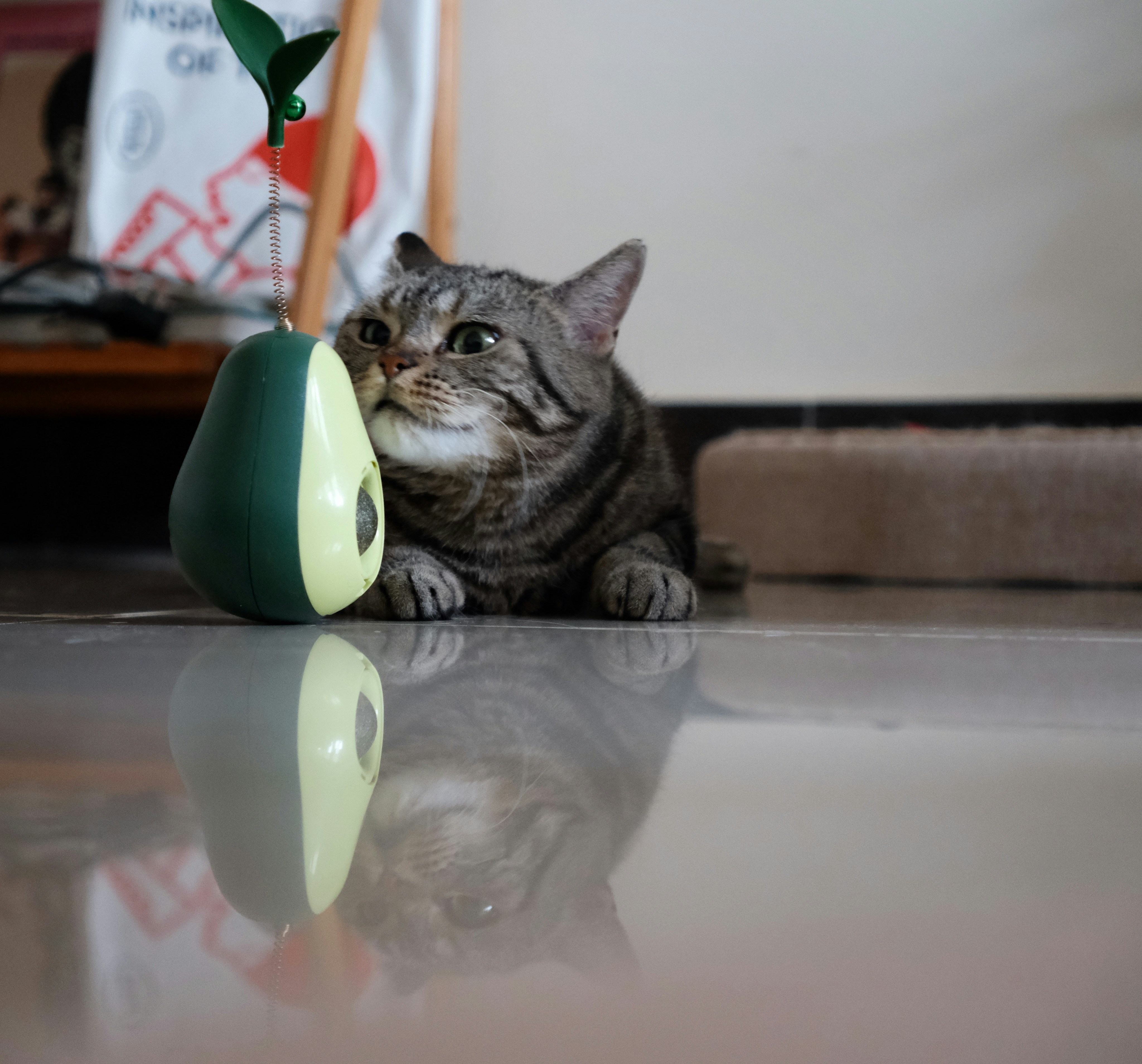 The Curiosity for New Objects (image credits: unsplash)