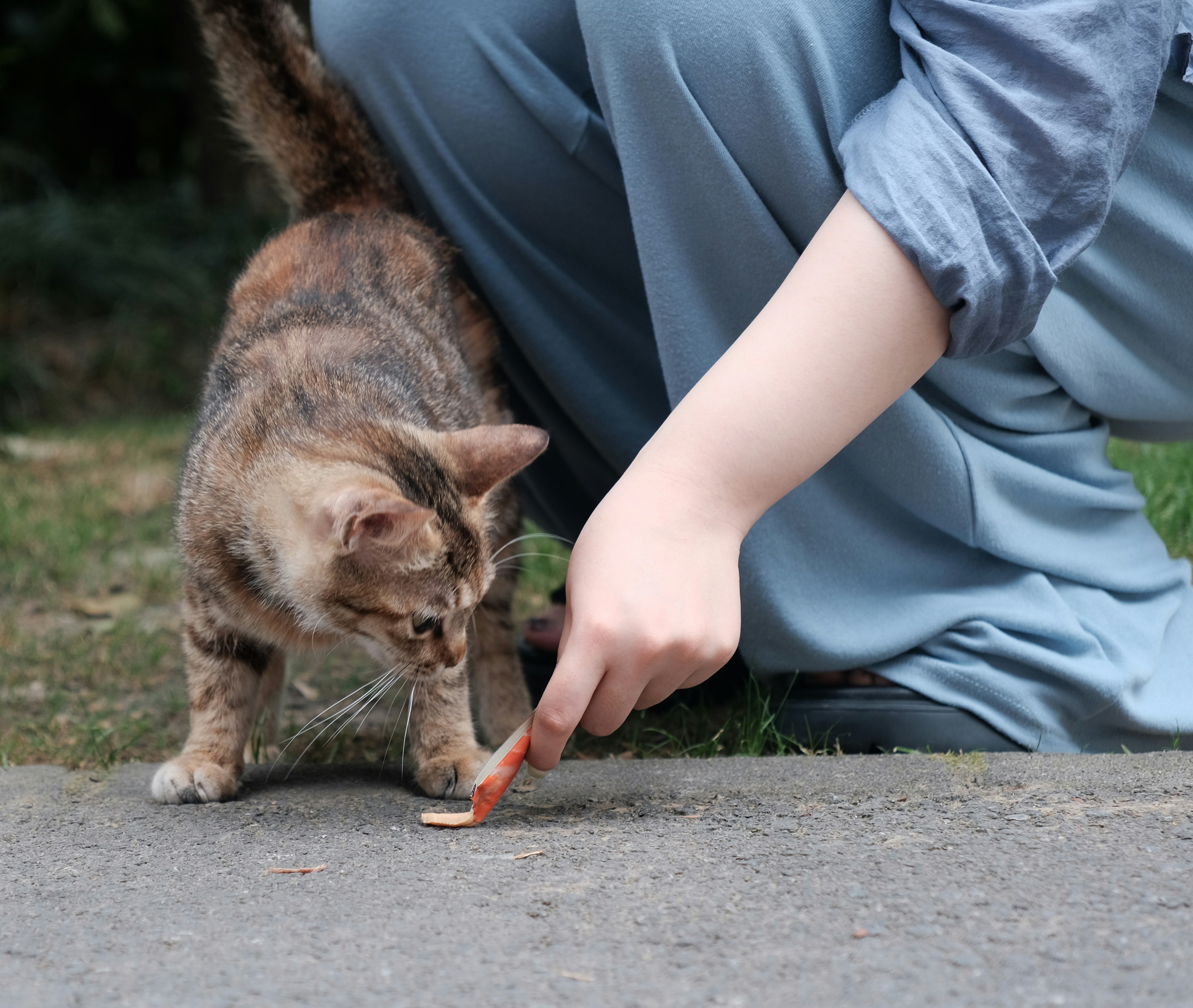 Street Feeding