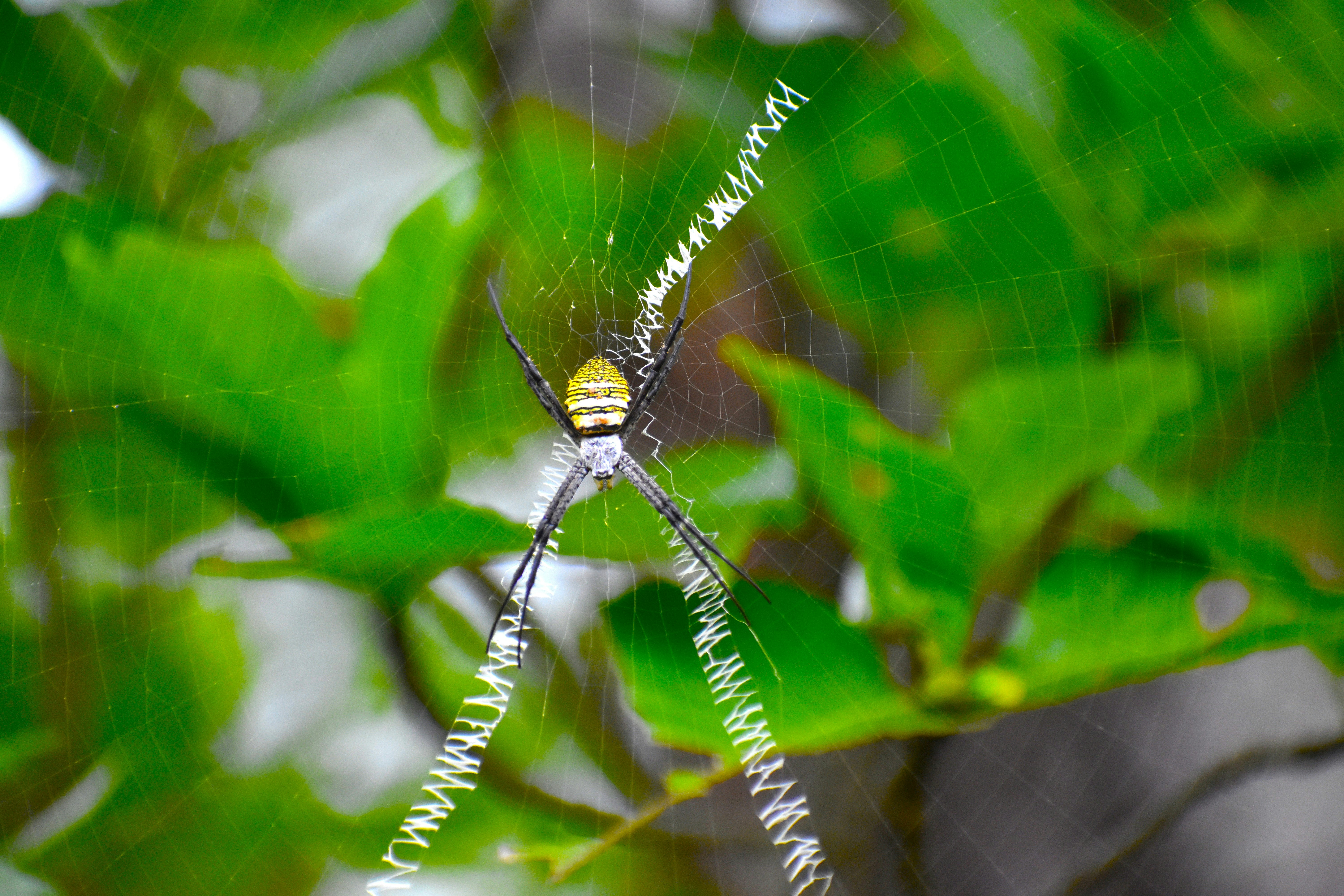 Photo by manoj_poosam