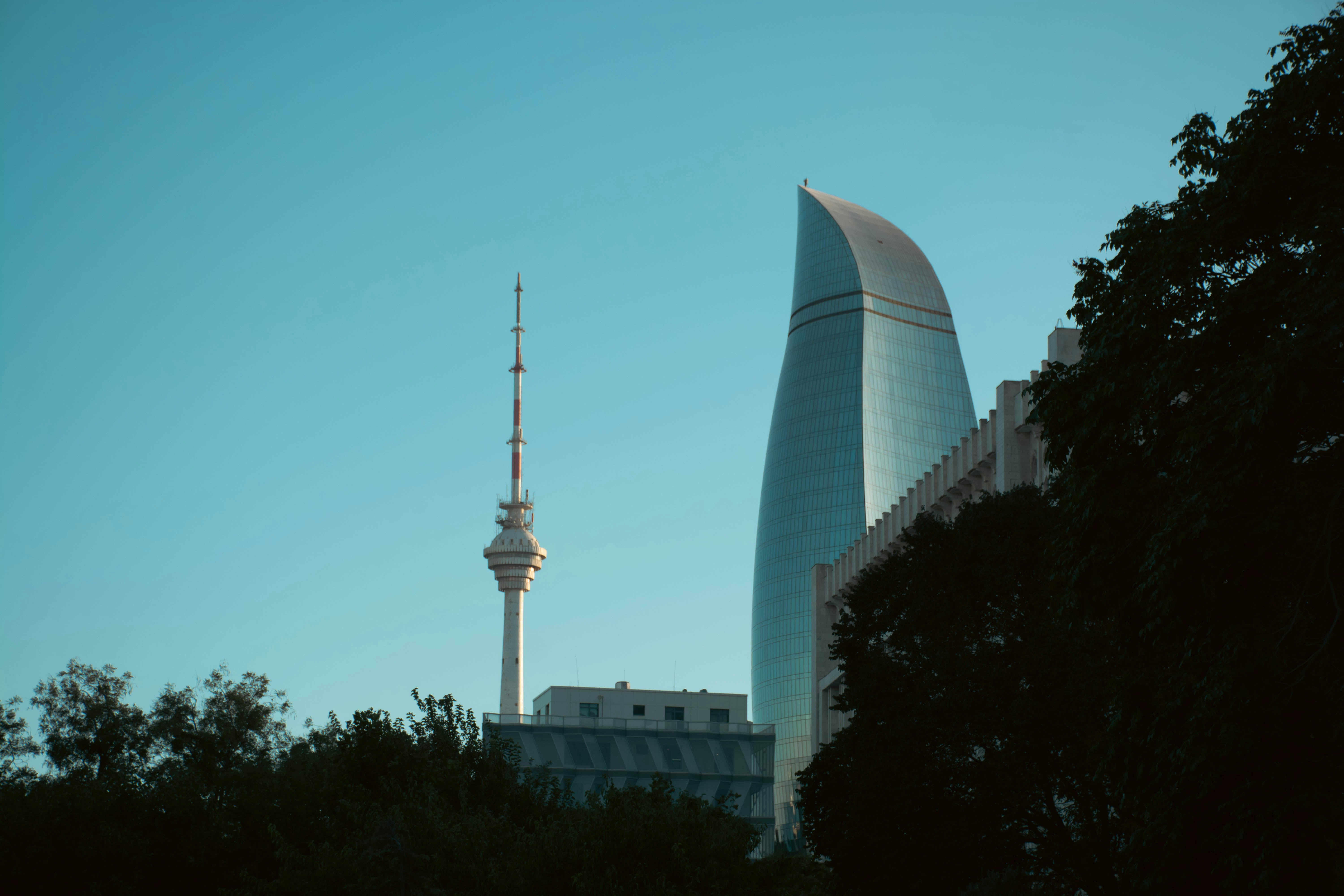 صورة المعرض