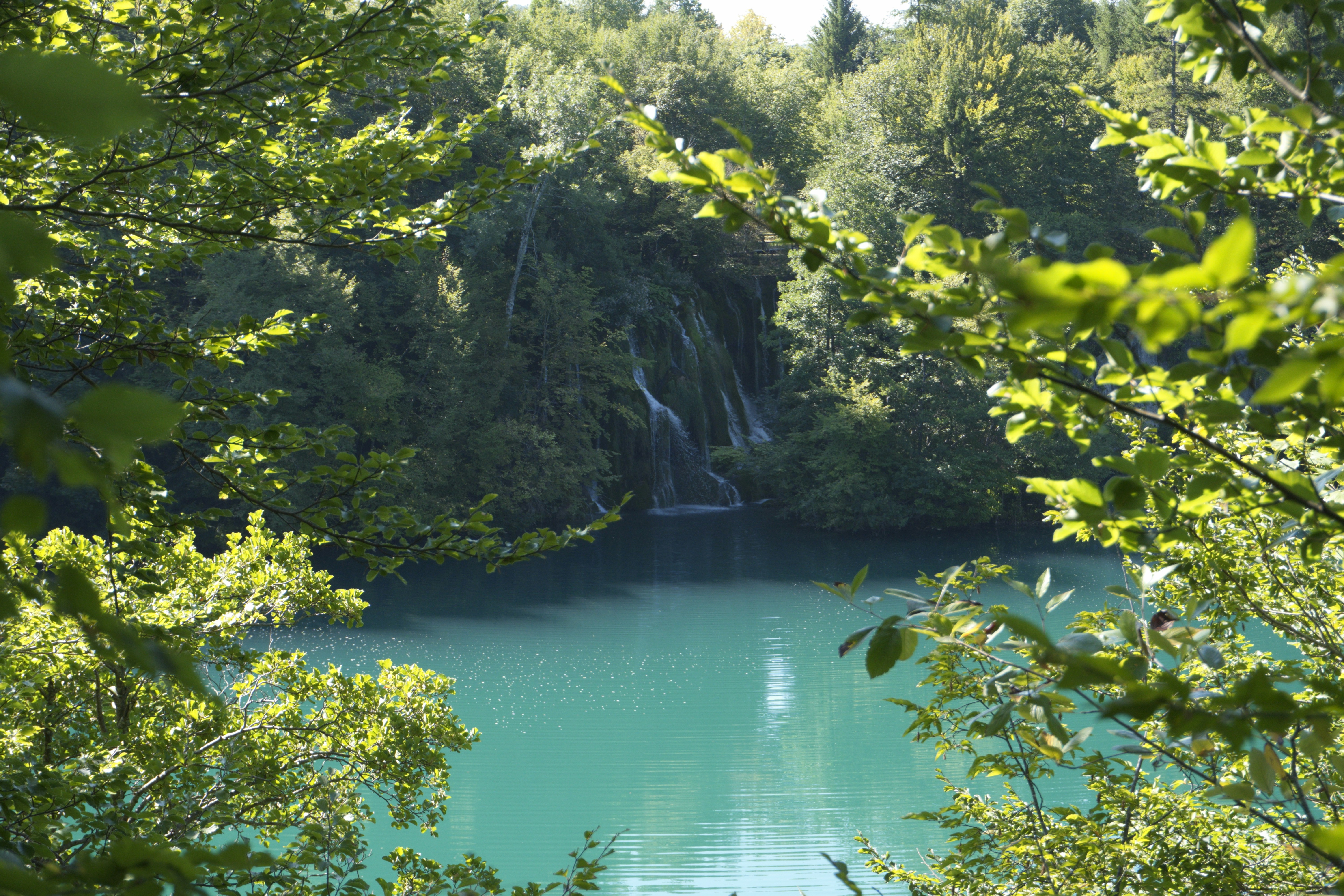 Photo by photosbymaple