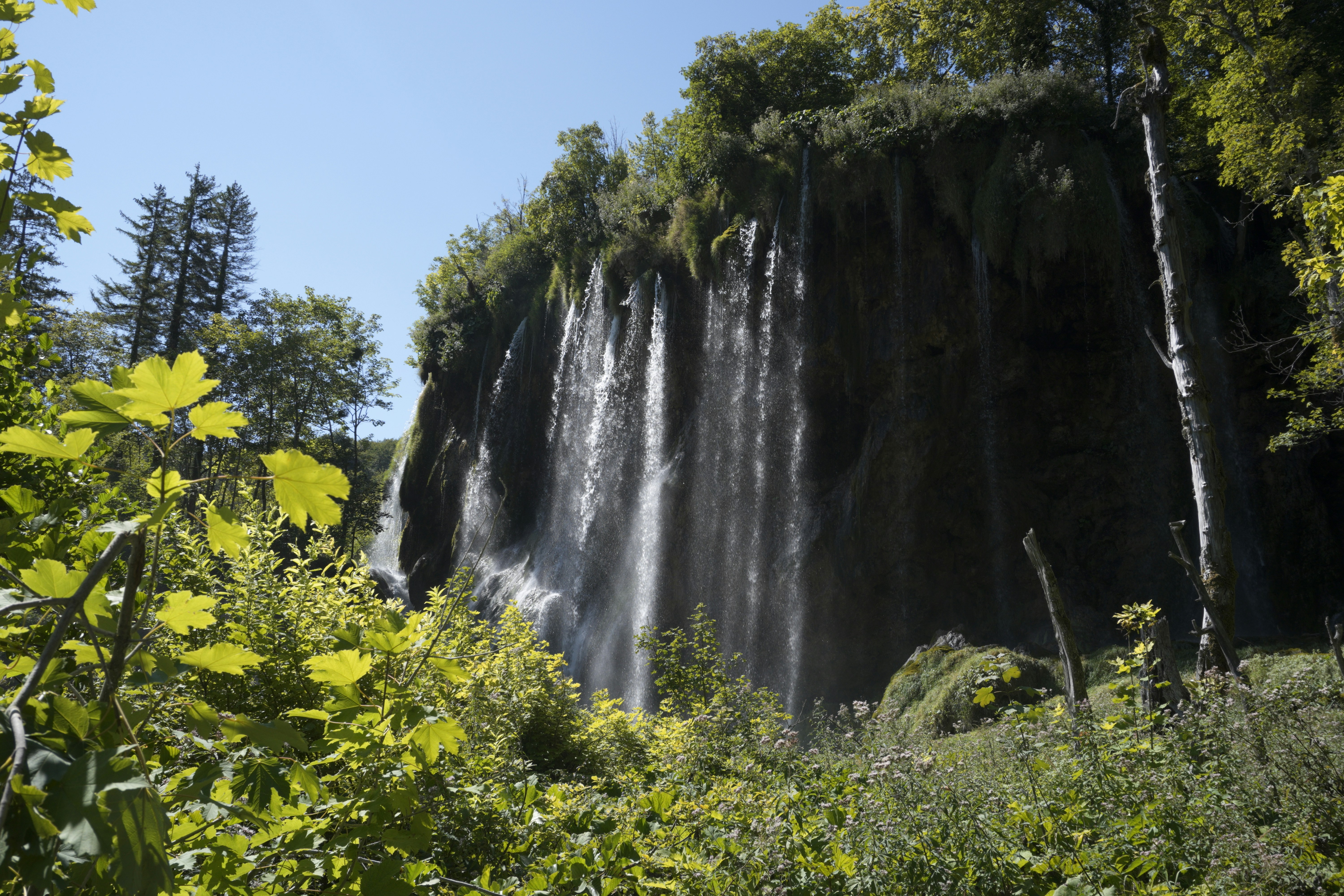 Photo by photosbymaple