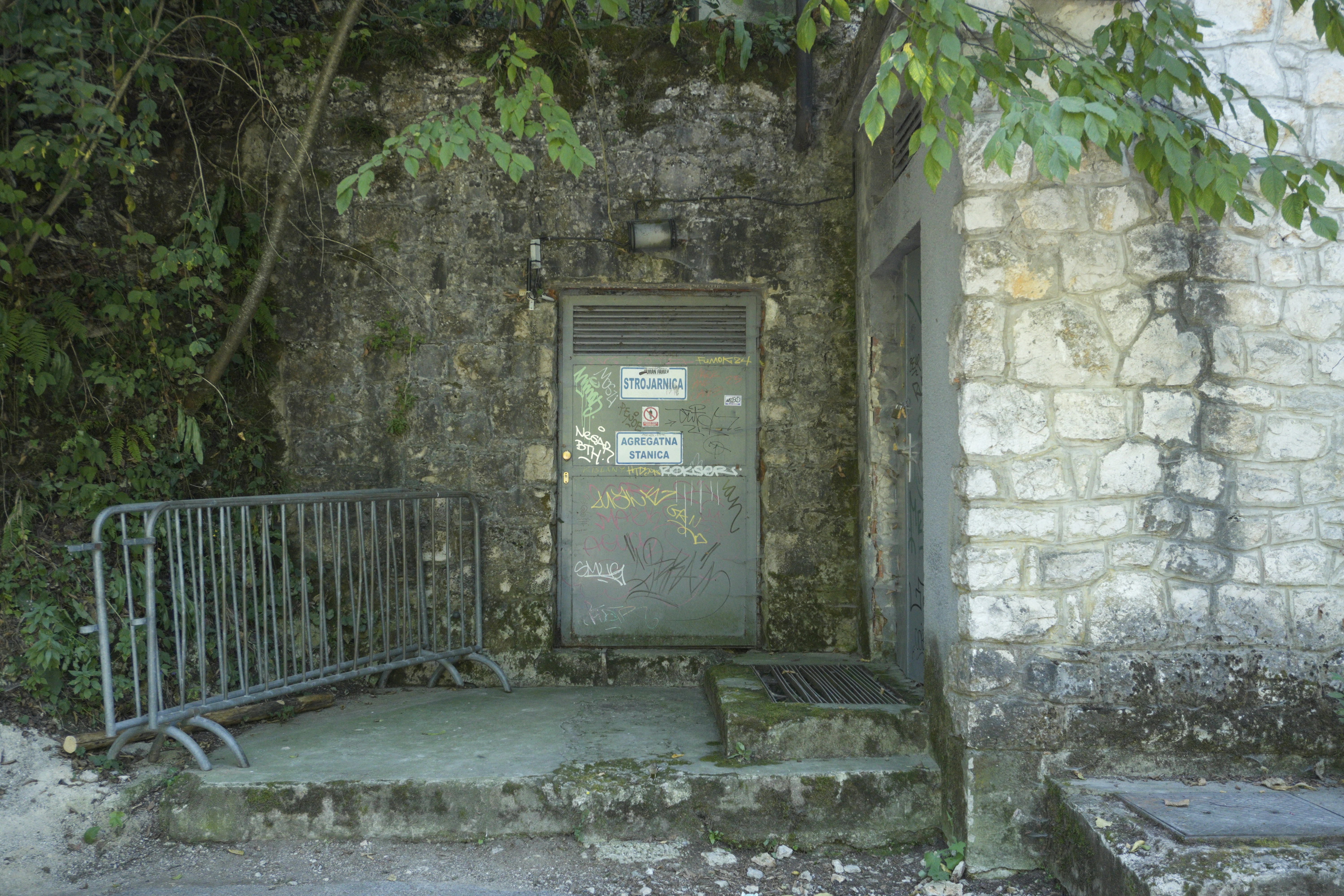 Photo by photosbymaple