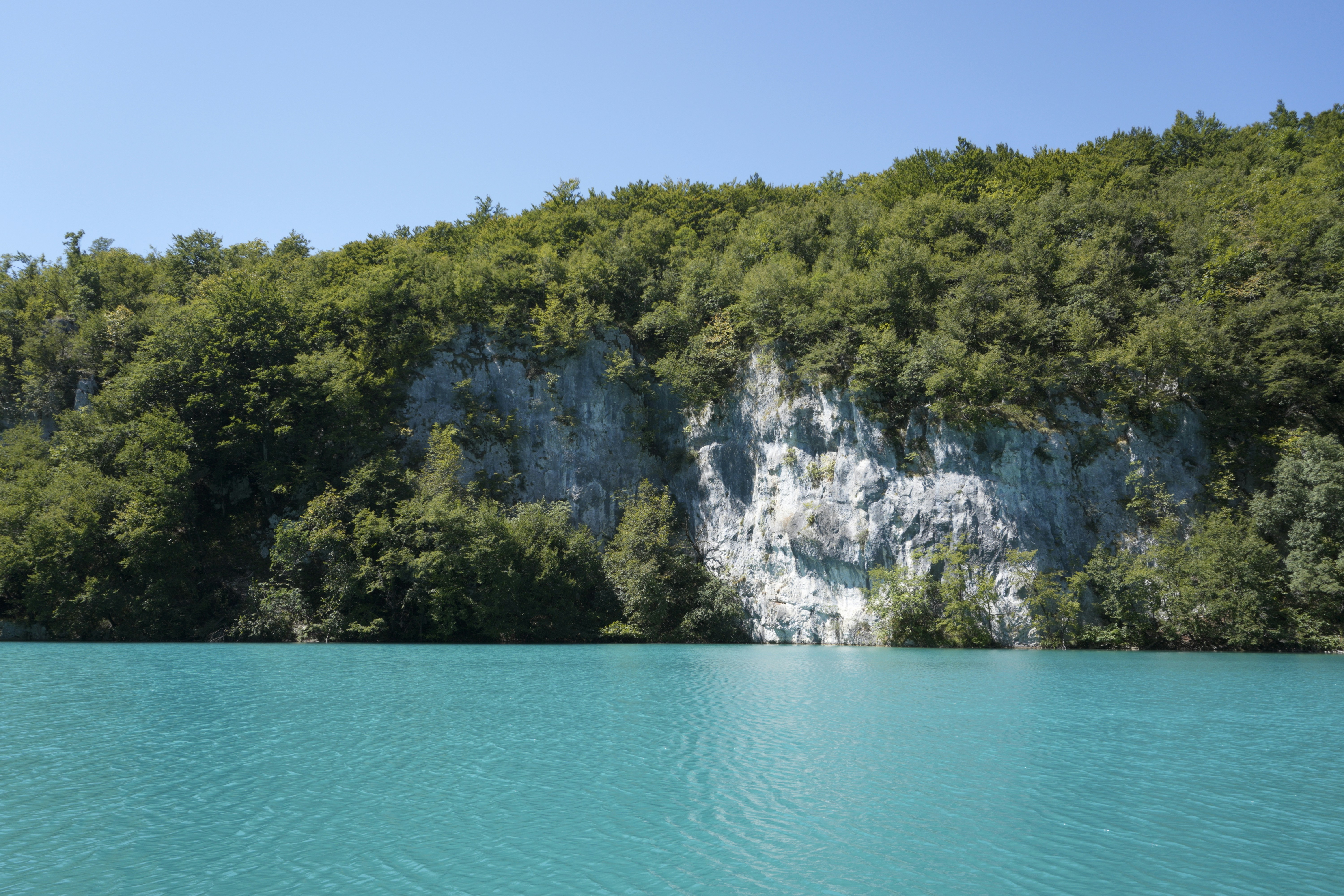 Photo by photosbymaple