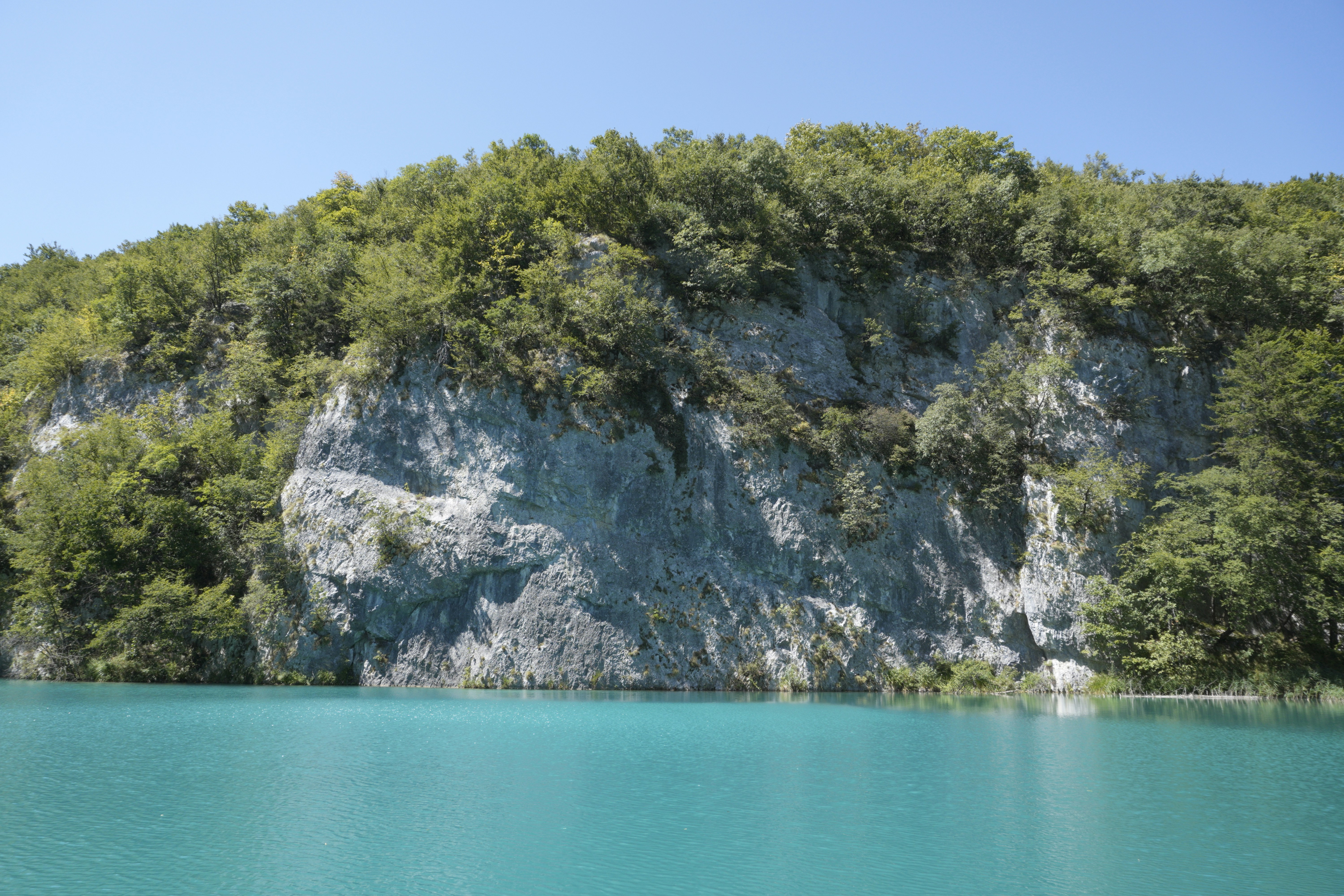 Photo by photosbymaple