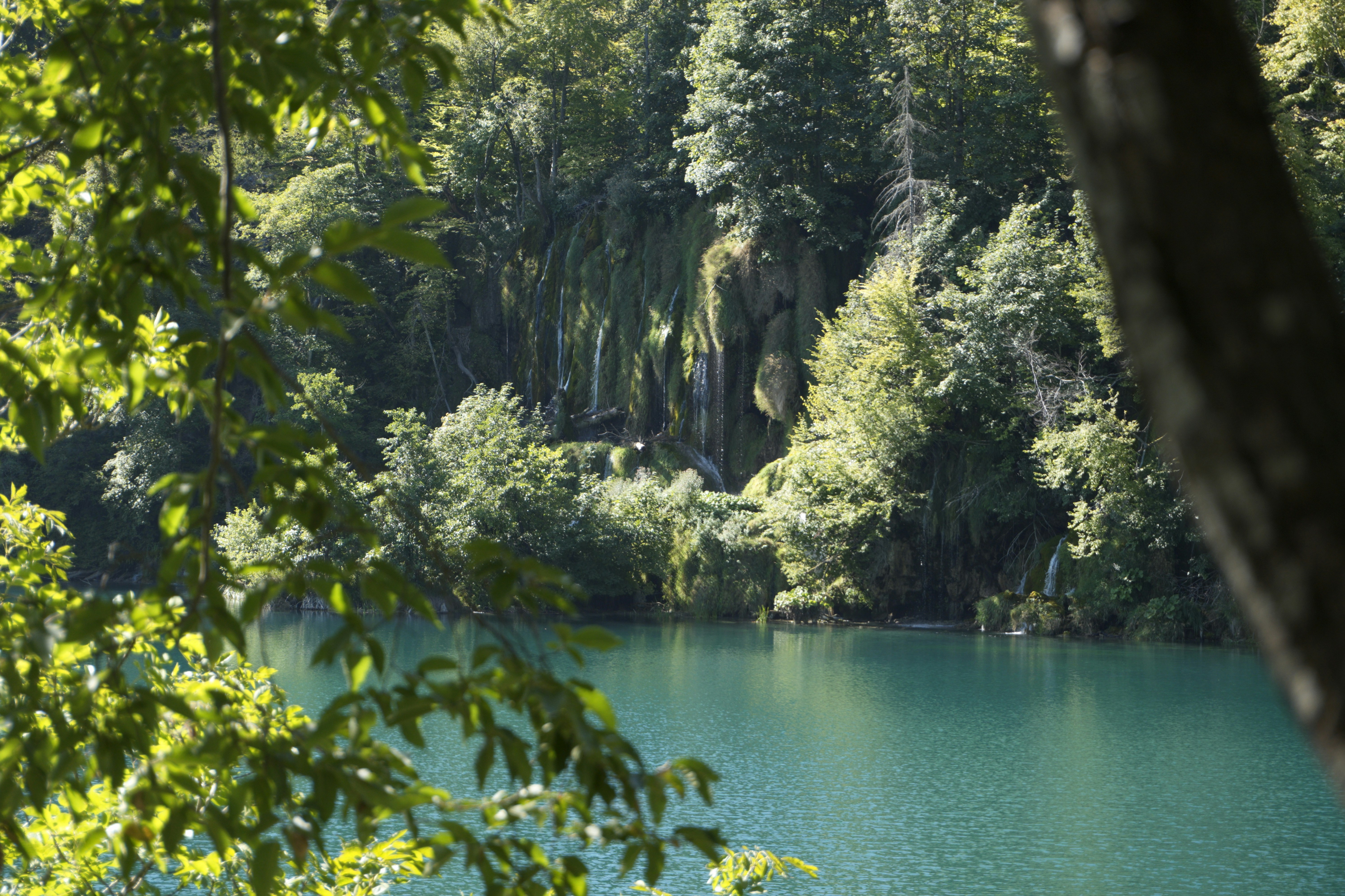 Photo by photosbymaple