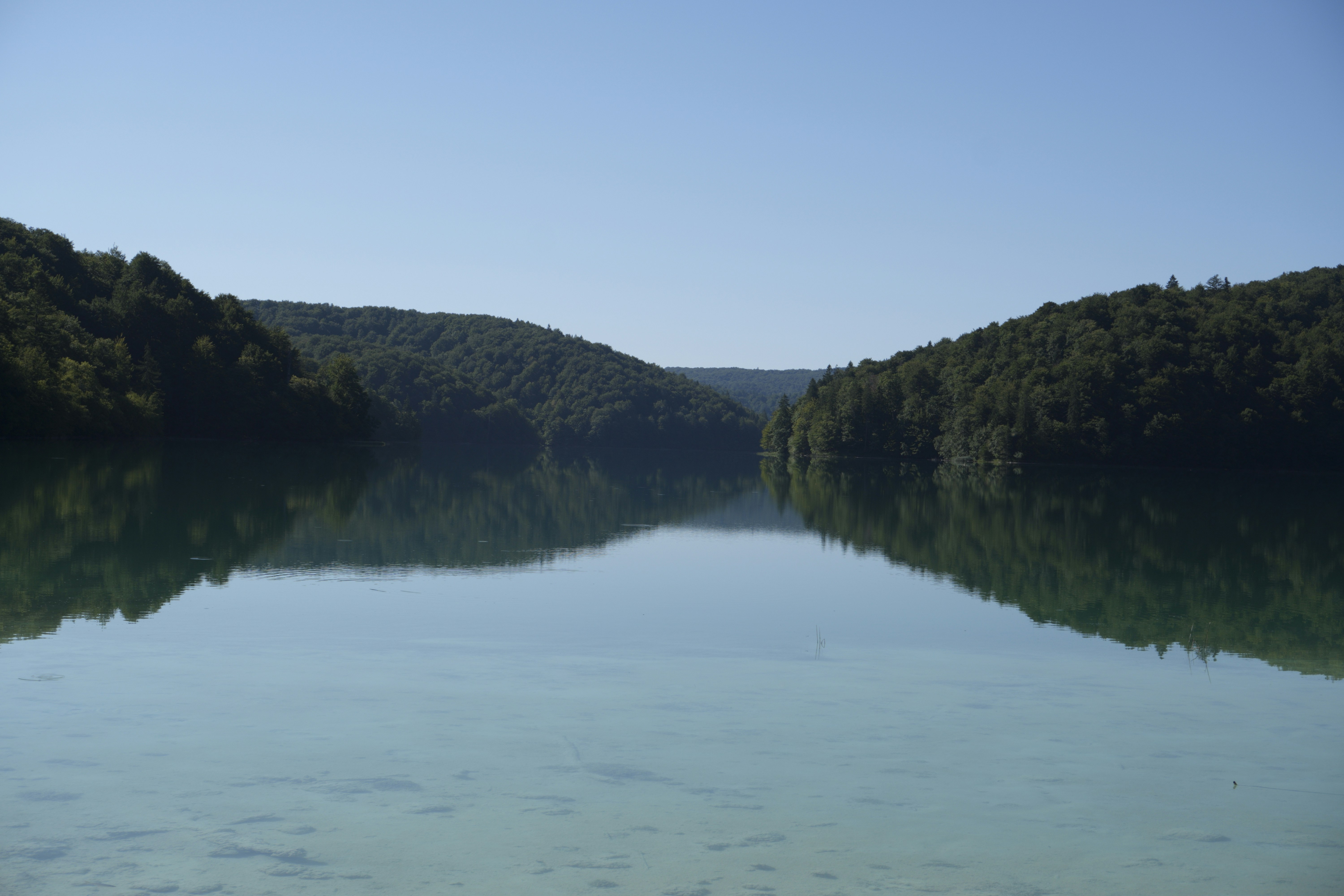 Photo by photosbymaple