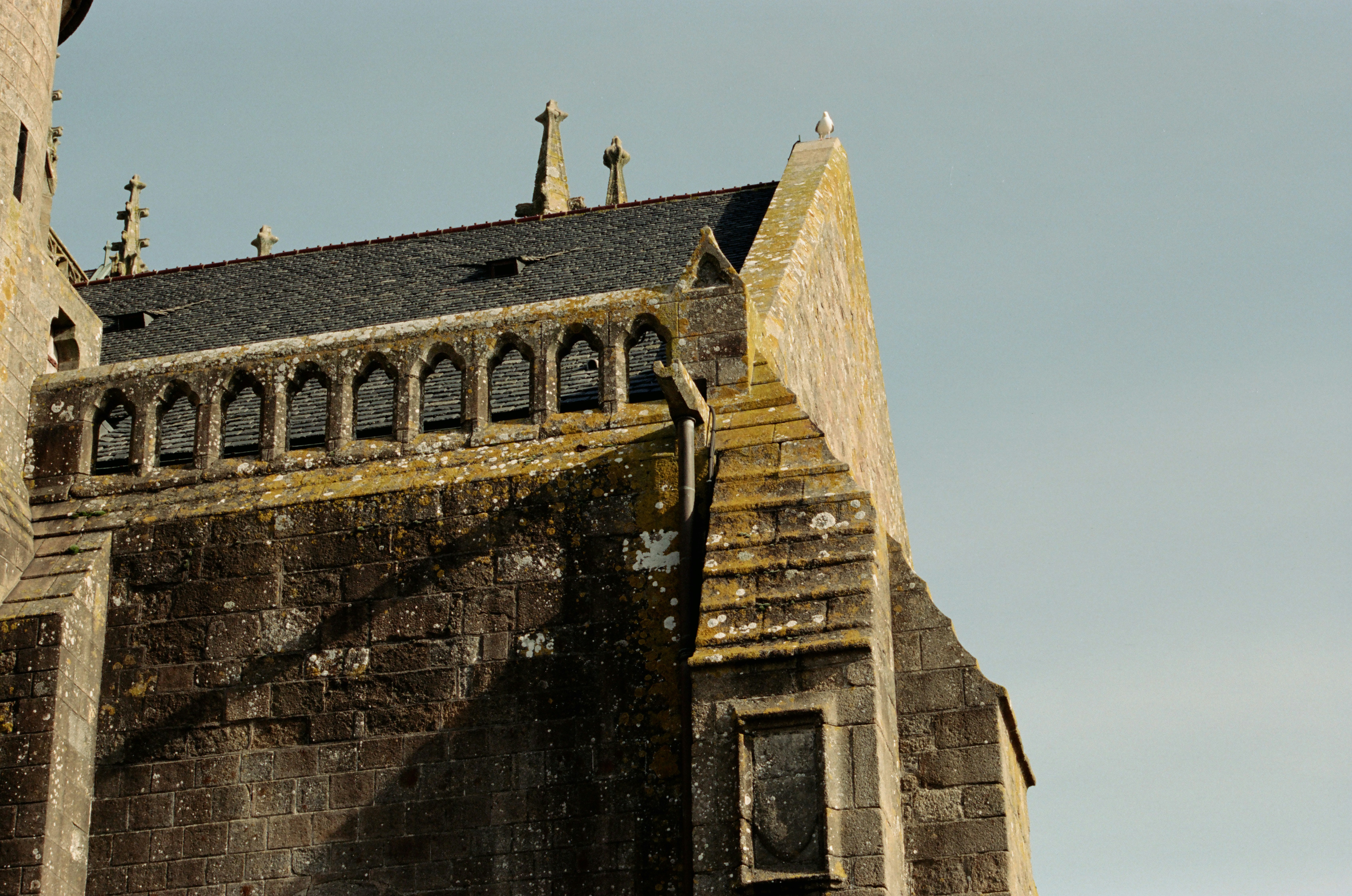 Photo by mineral_of_demon