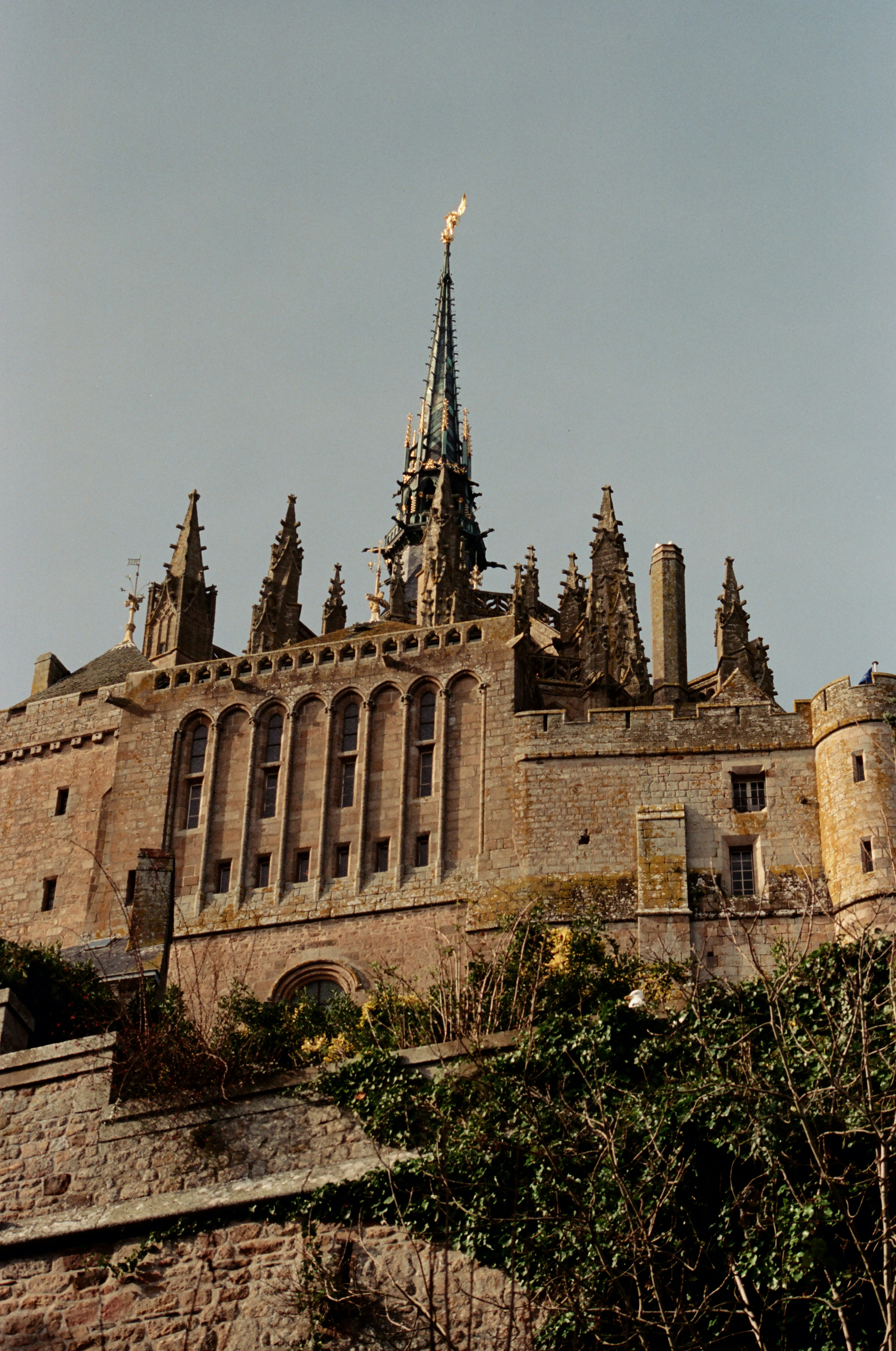 Photo by mineral_of_demon