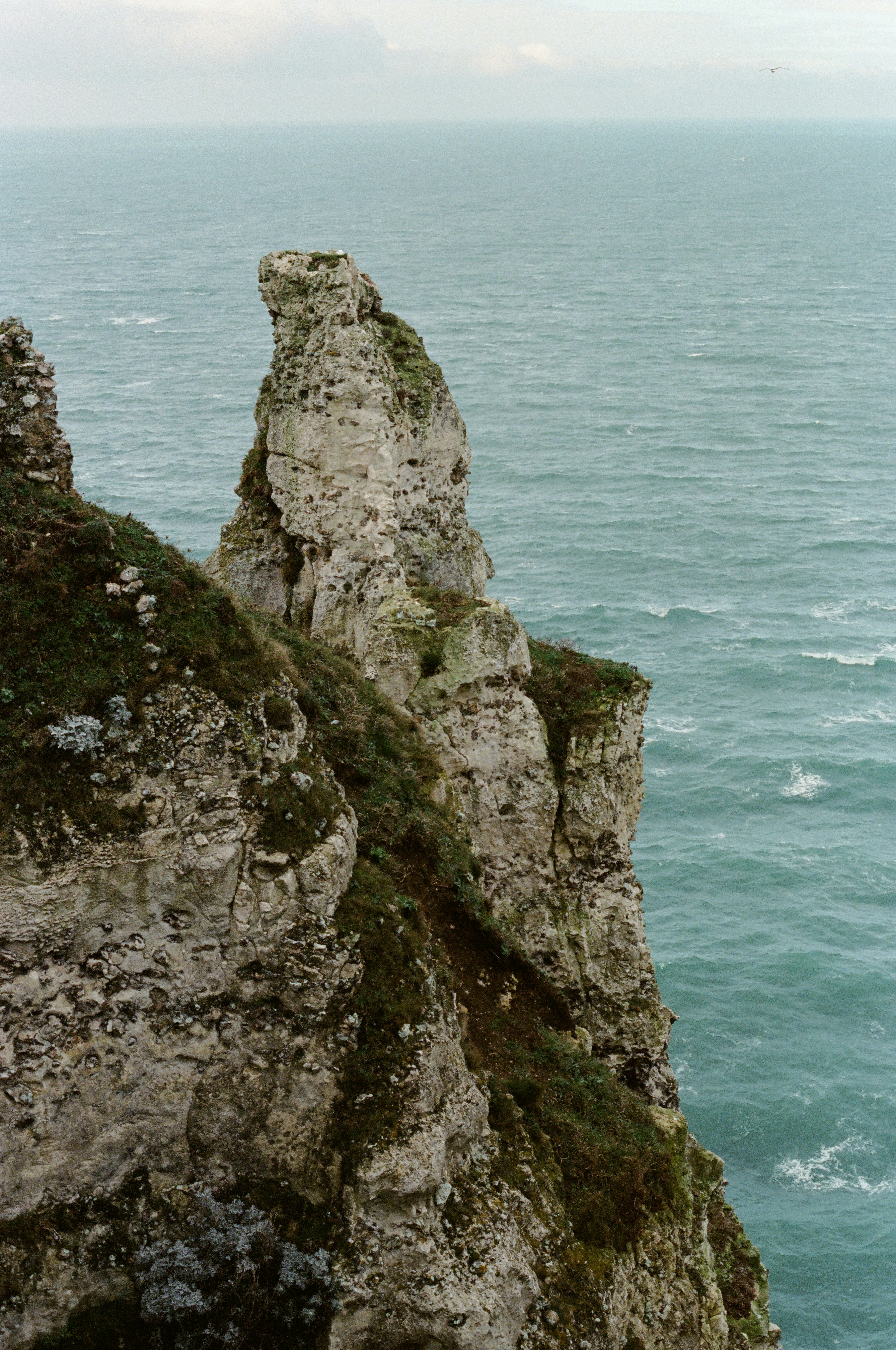 Photo by mineral_of_demon