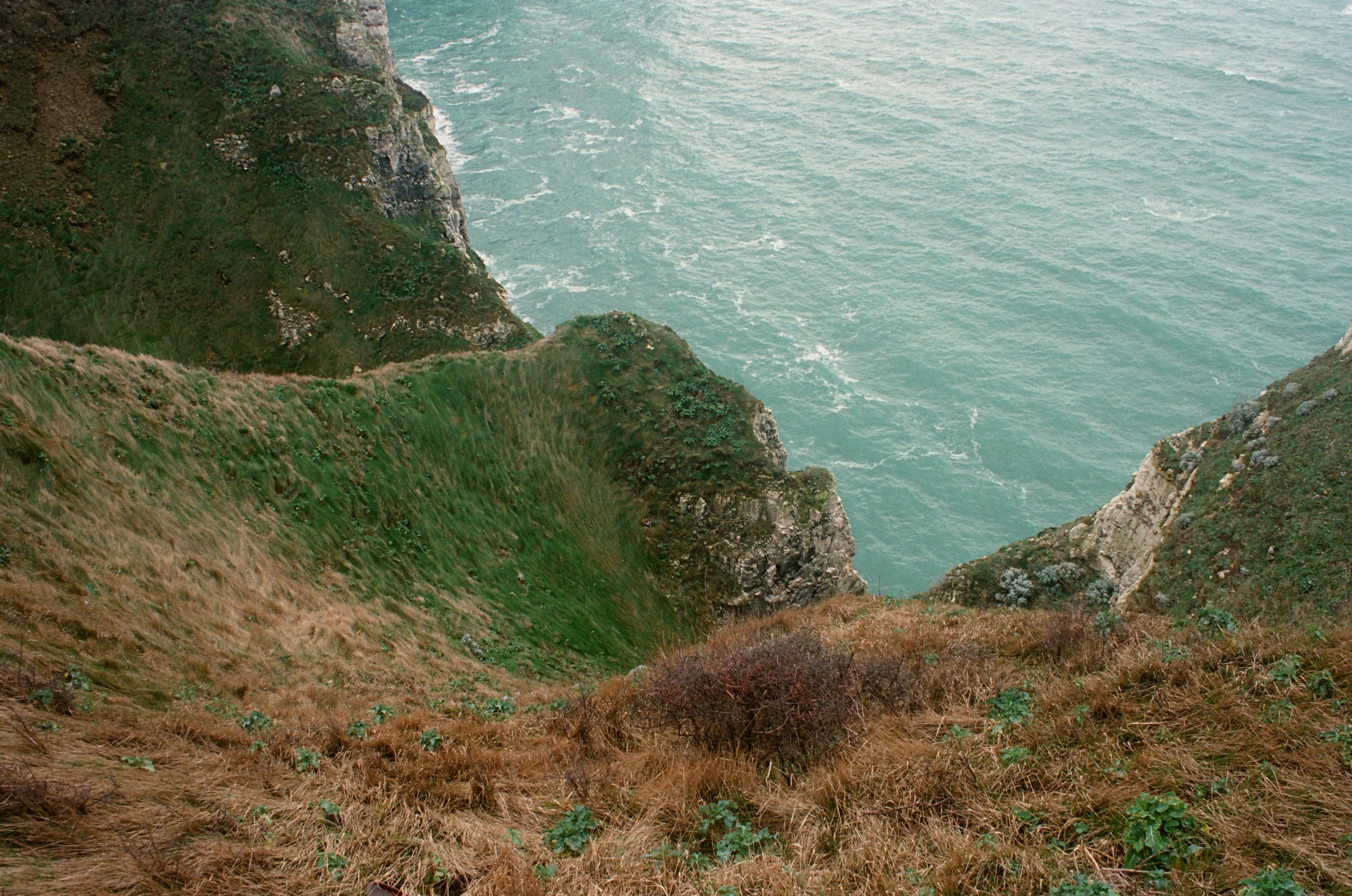 A view of a body of water from the top of a hill