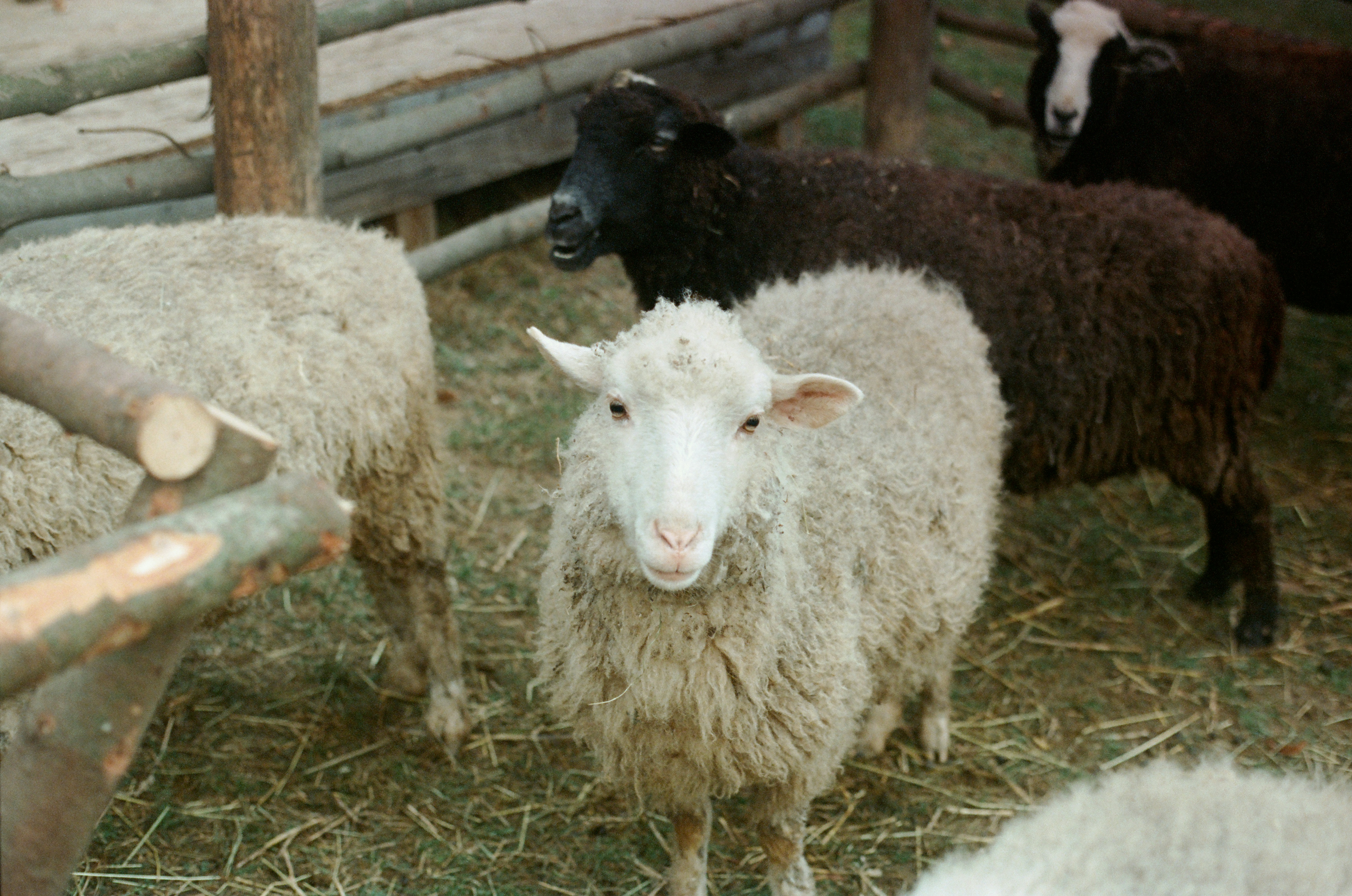 Photo by mineral_of_demon