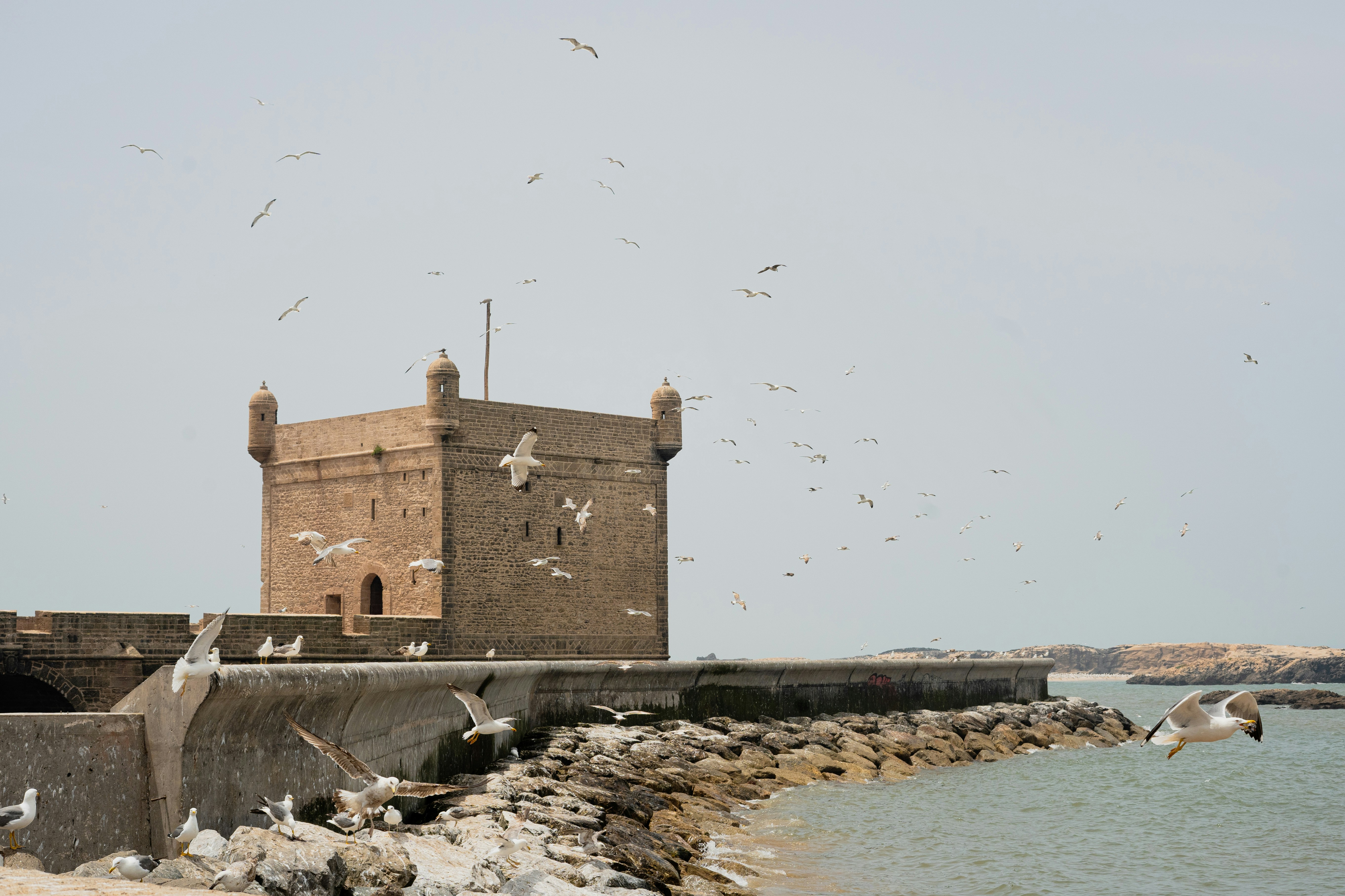 Qal'at al-Bahrain (Bahrain Fort) photo 3