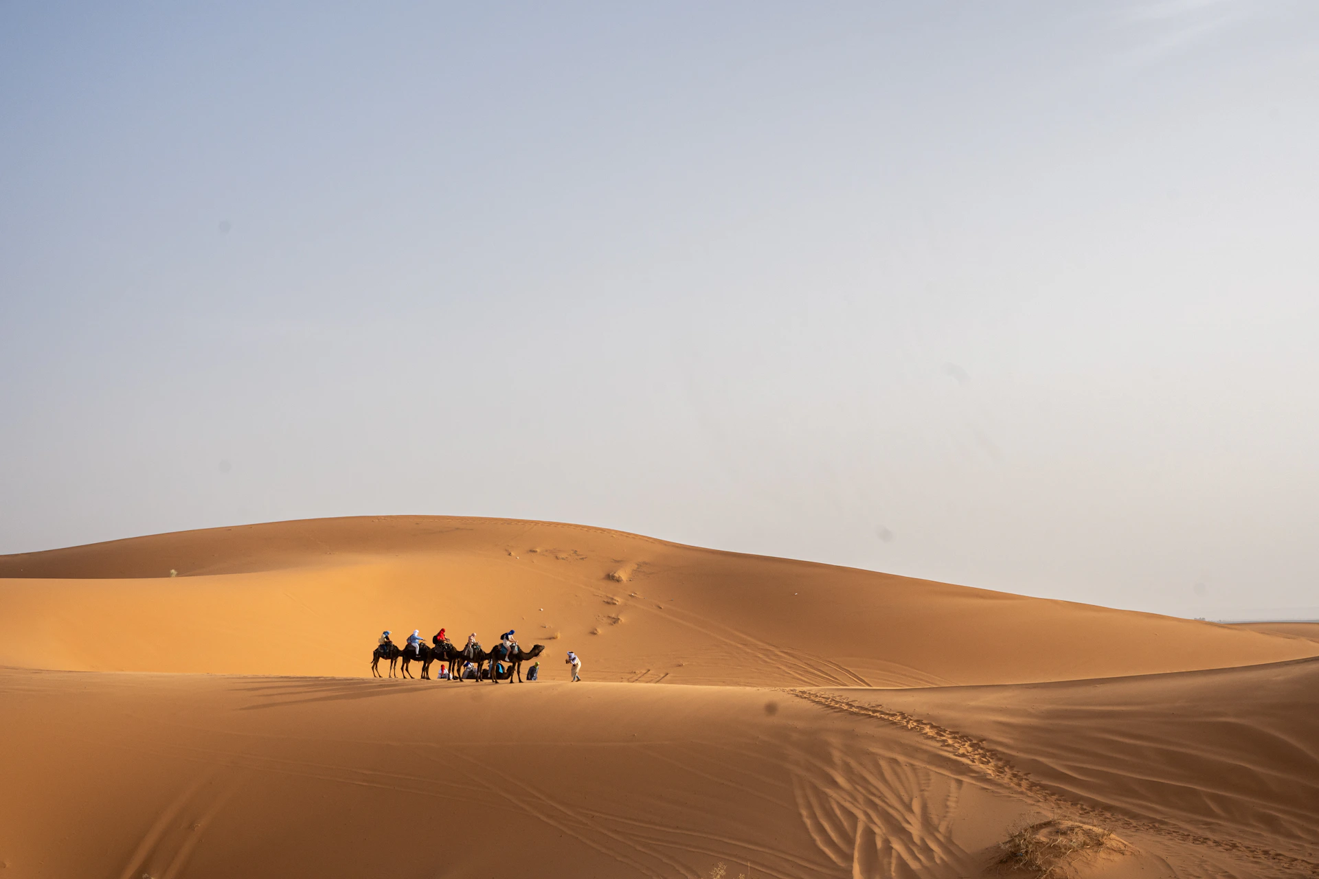 A group of people riding camels across a desert