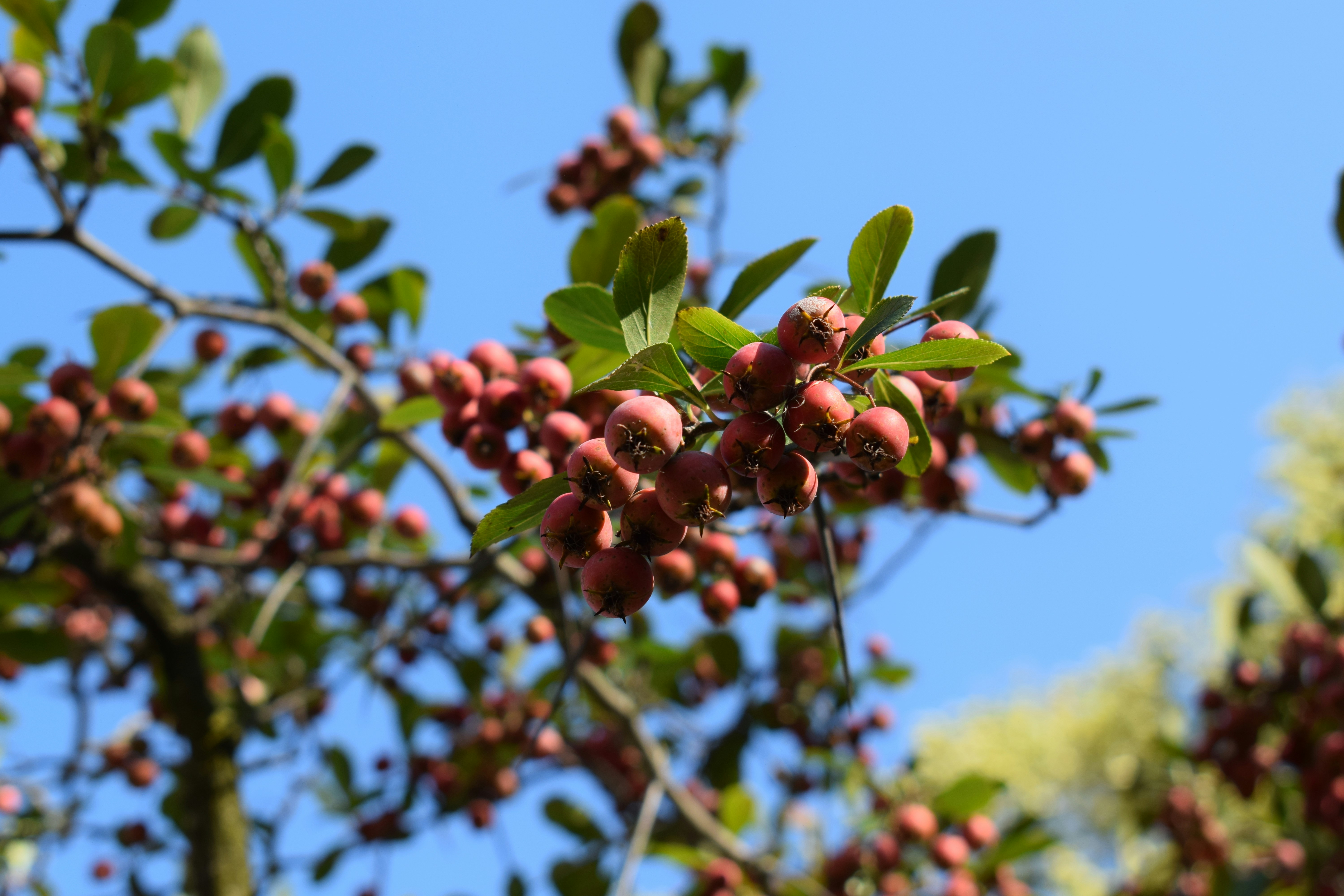 Photo by kristina001