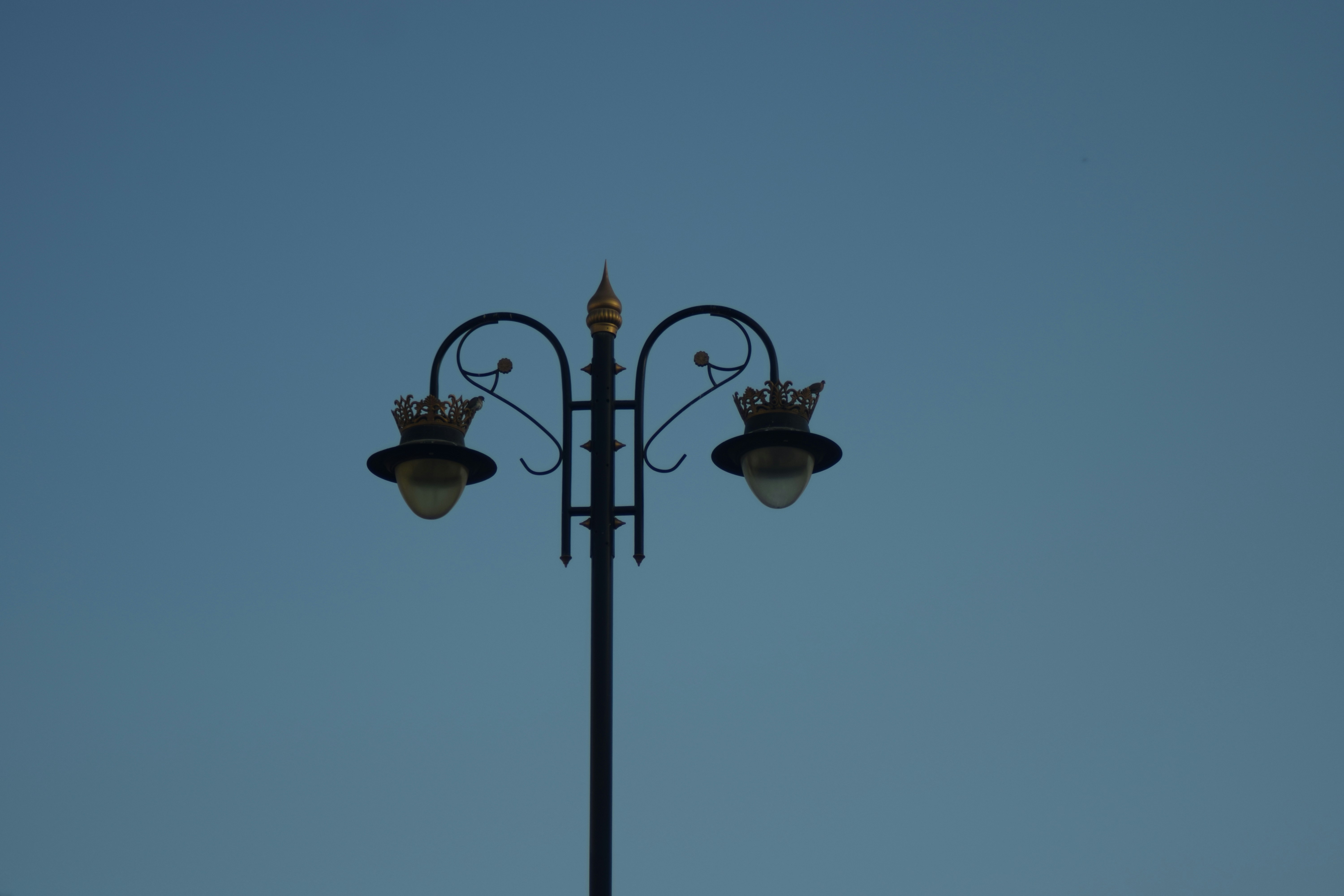 Photo by jayopeniano