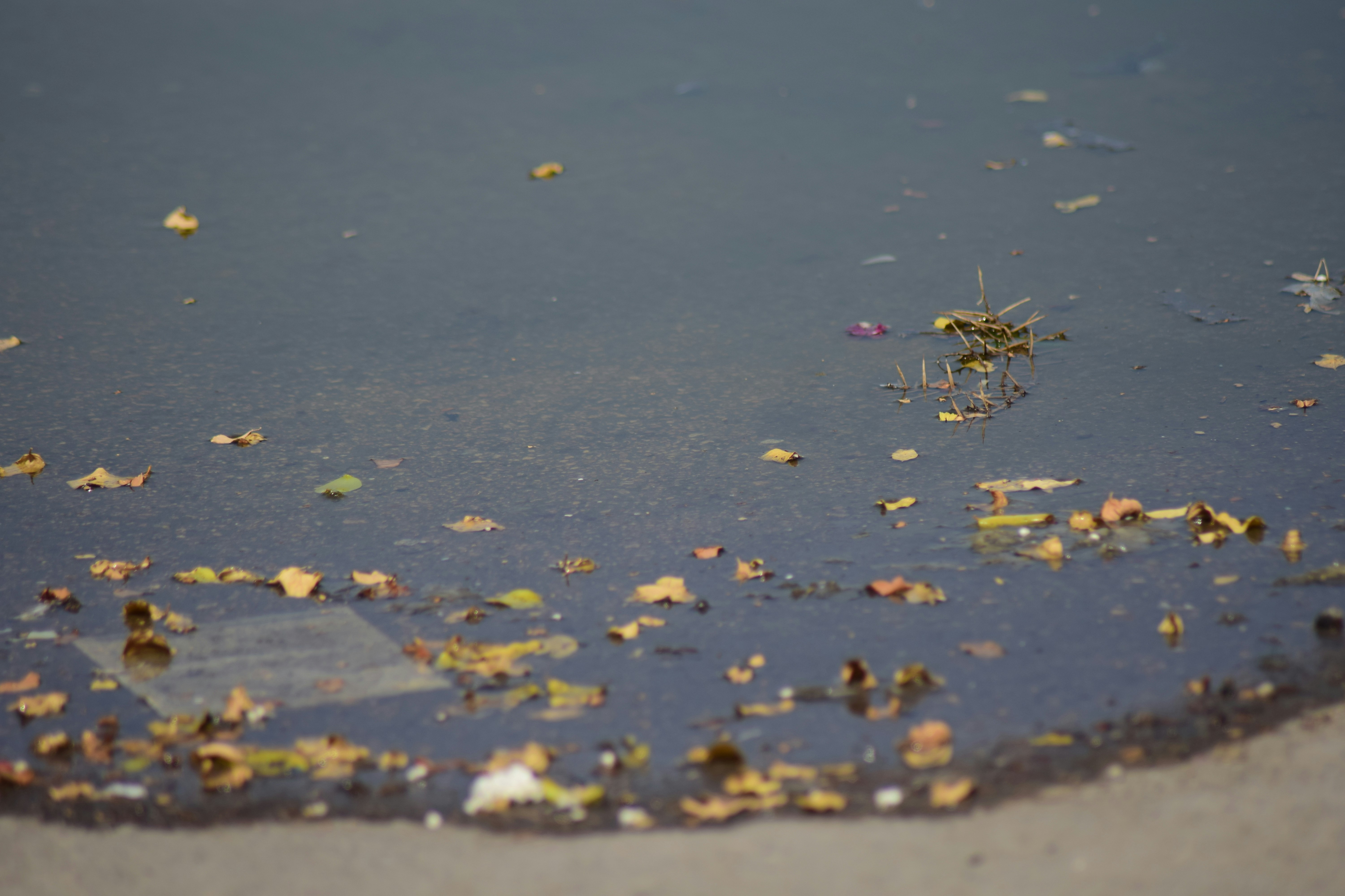 Photo by jayopeniano