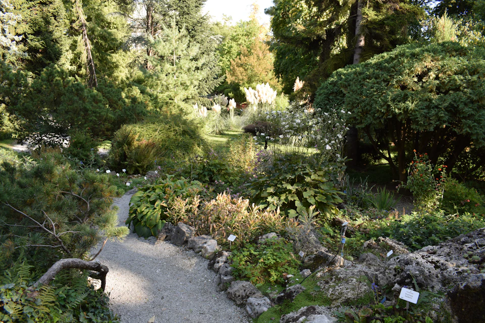 Serene garden scene with well-maintained gravel path amidst lush greenery and brown terrain features