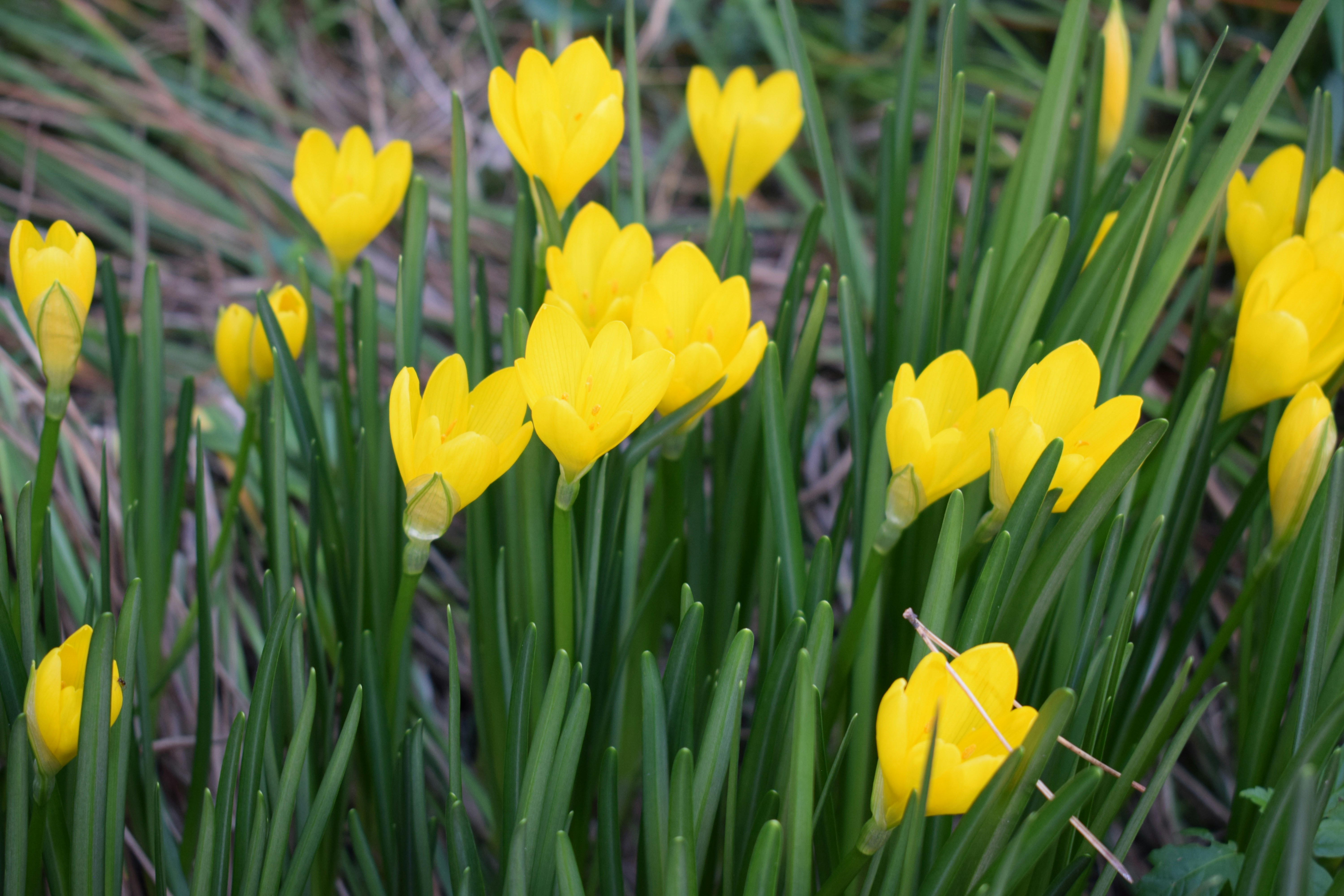 Photo by kristina001