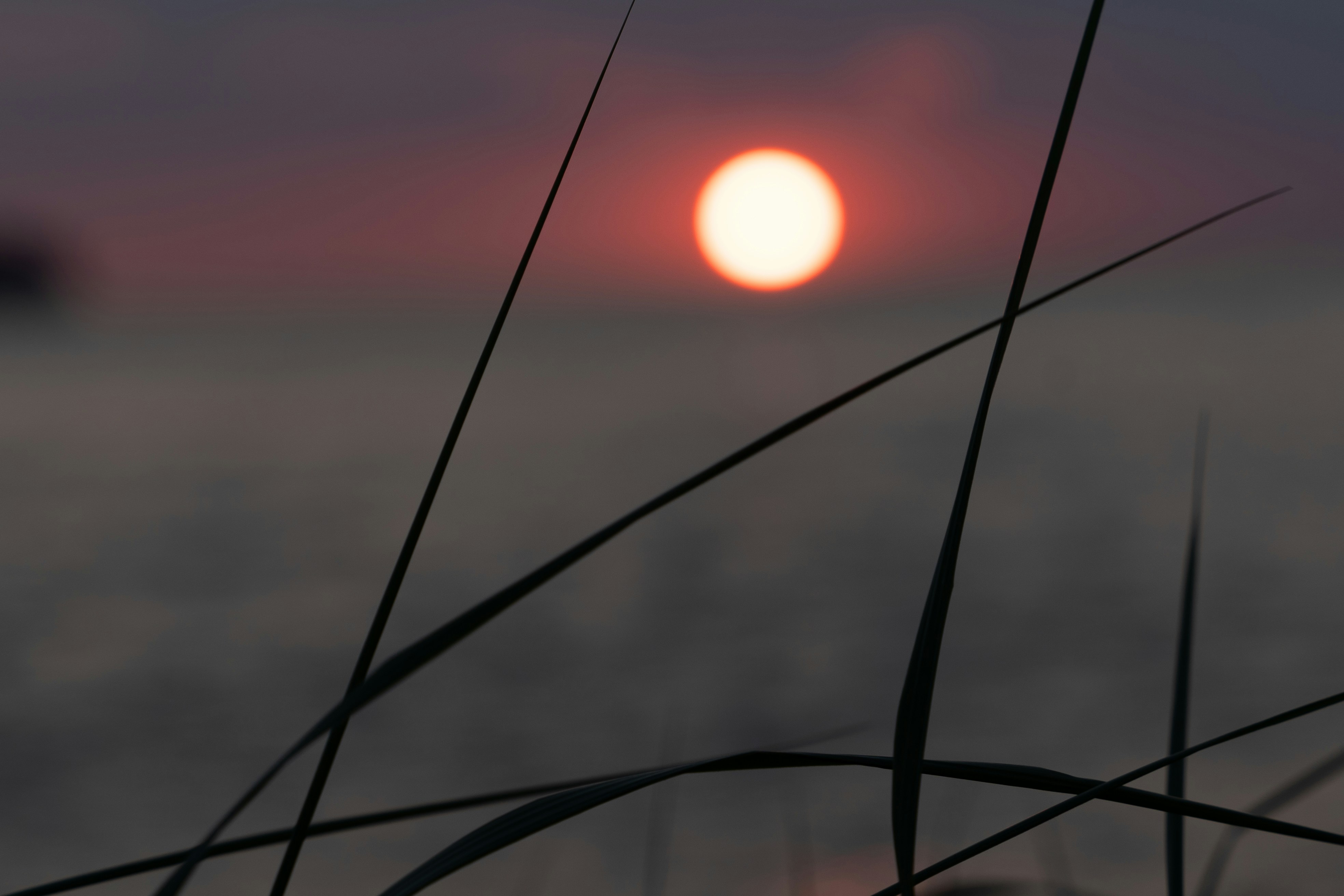 Photo by ghostdogg187