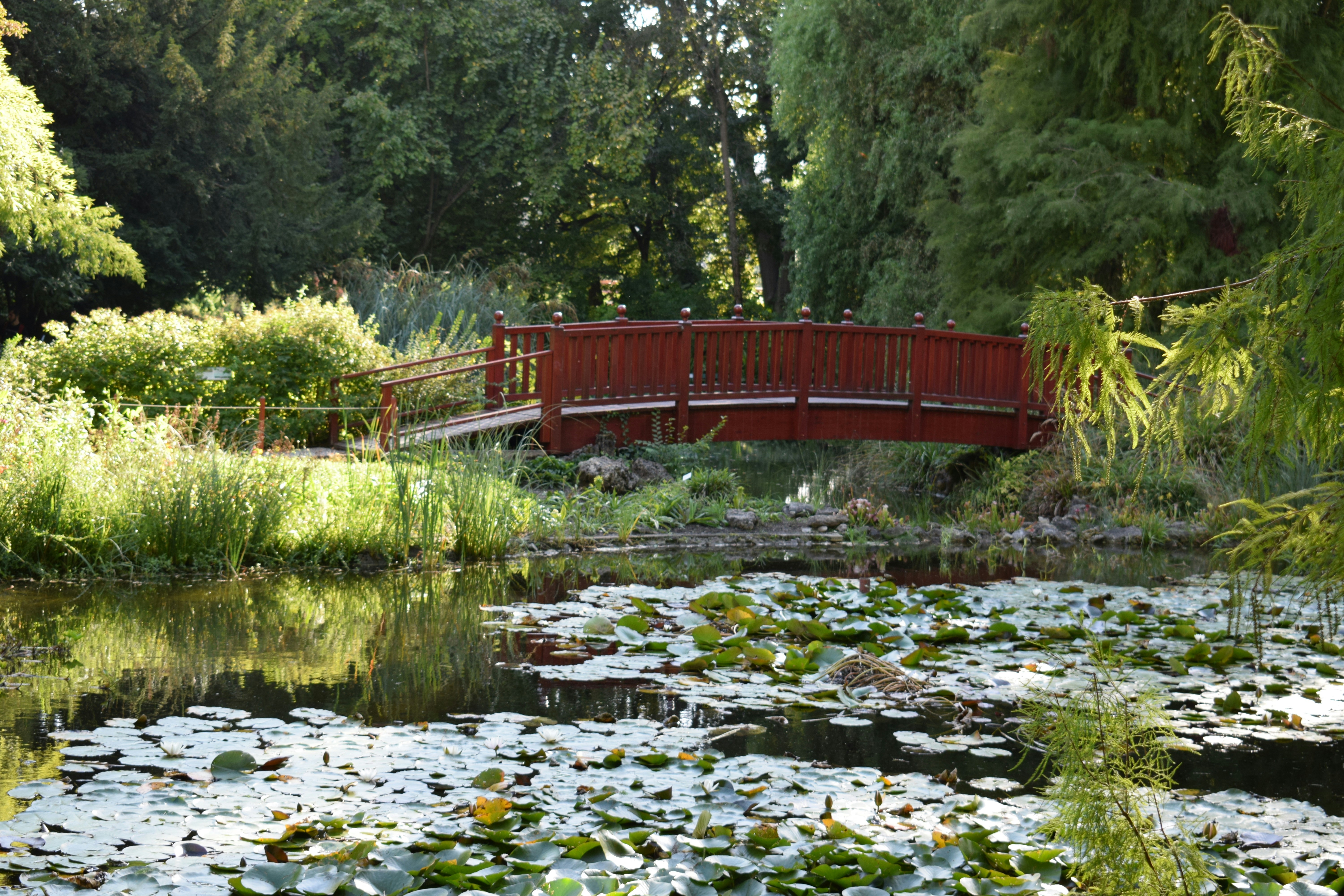 Photo by kristina001