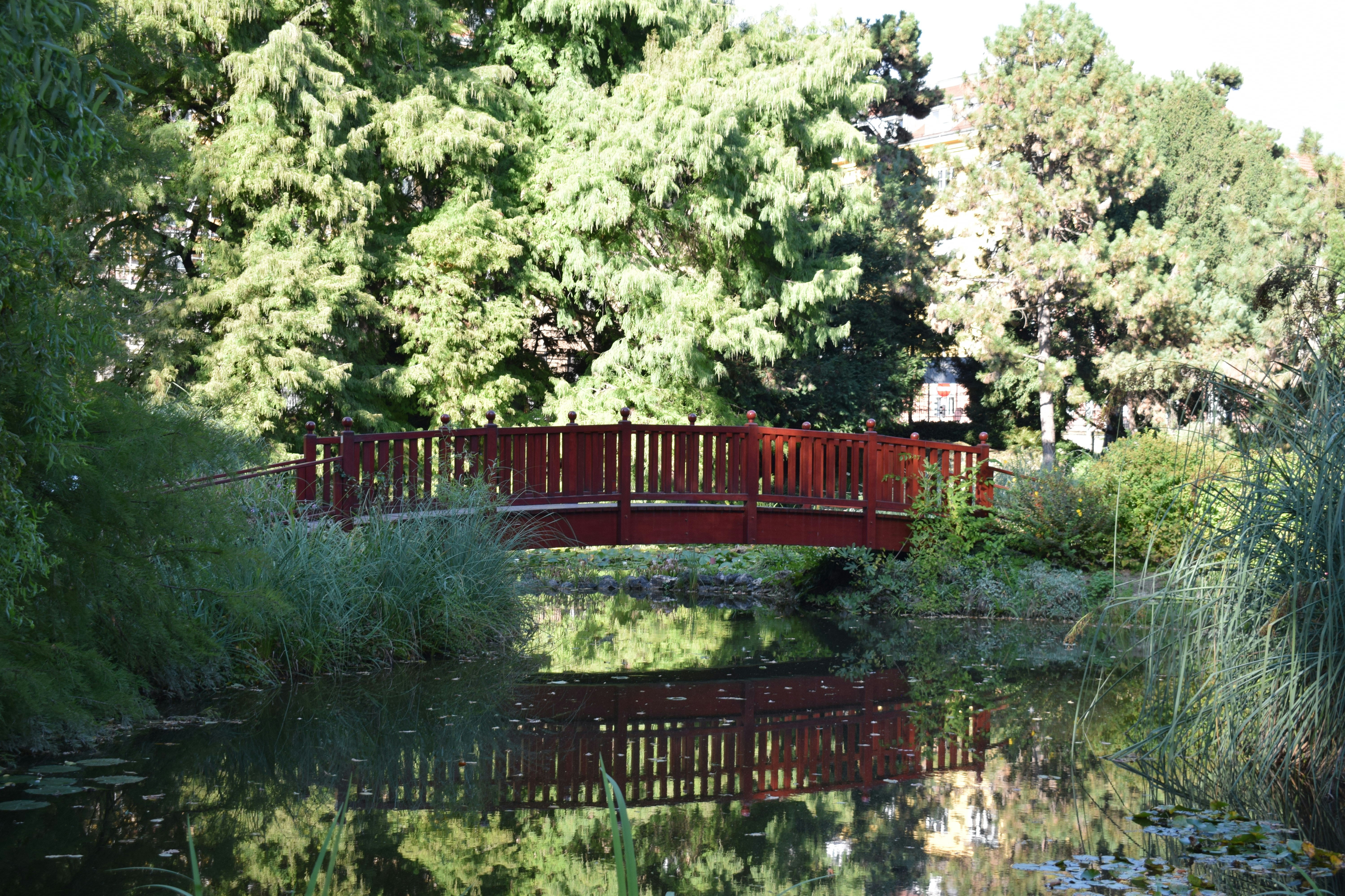 A red bridge over a river surrounded by trees