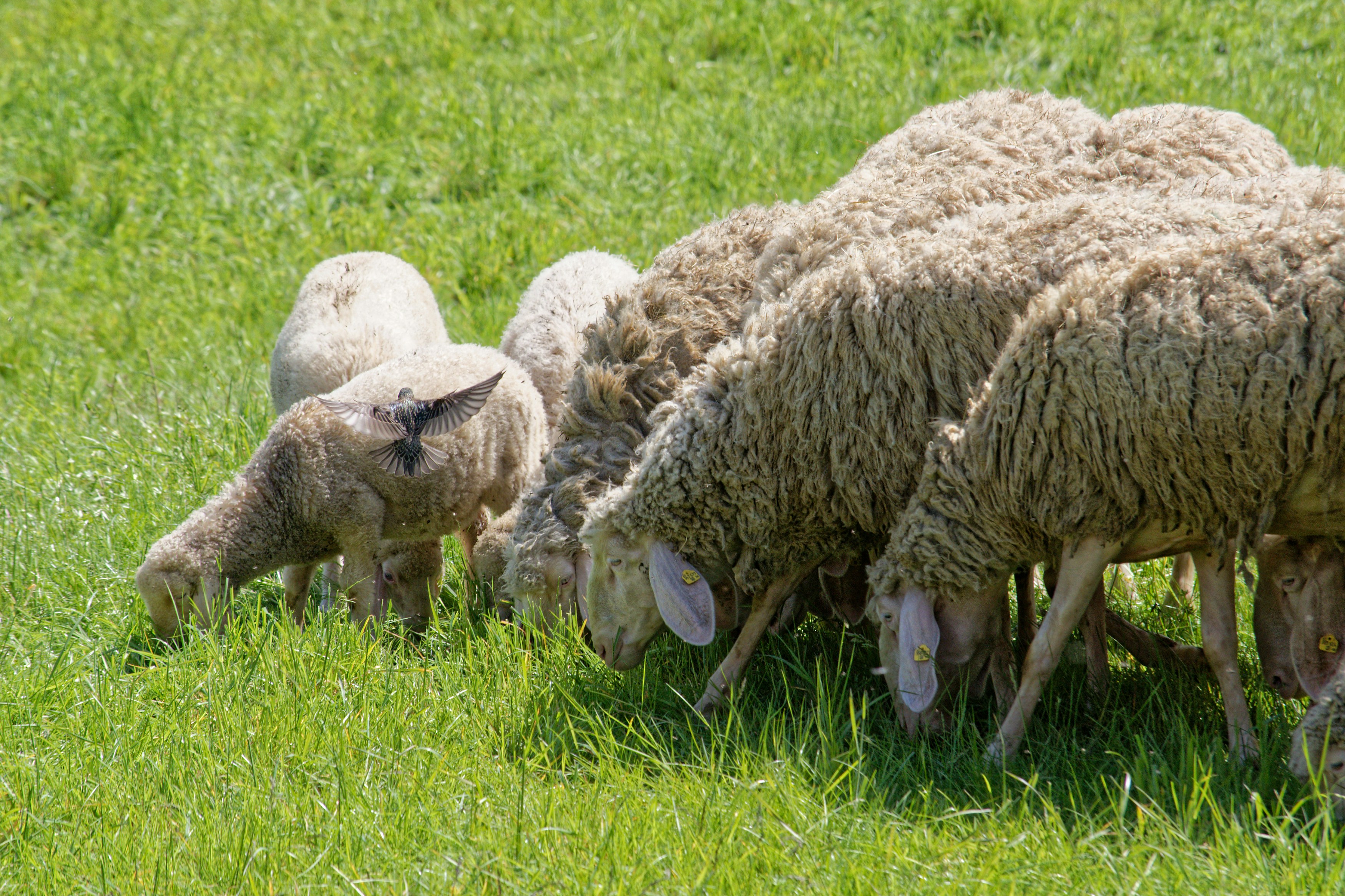 Photo by designbytholen