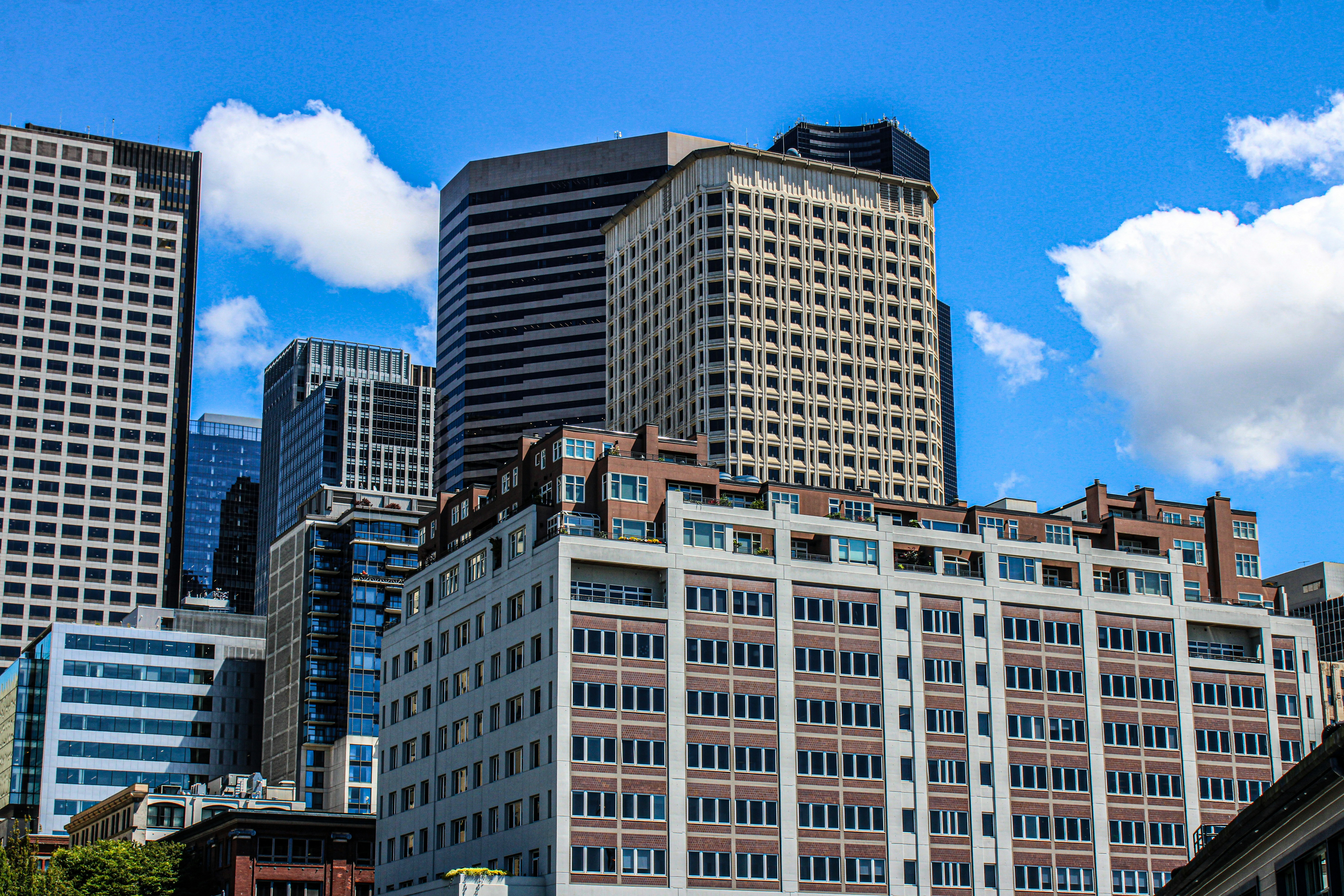 Photo by prphotography262