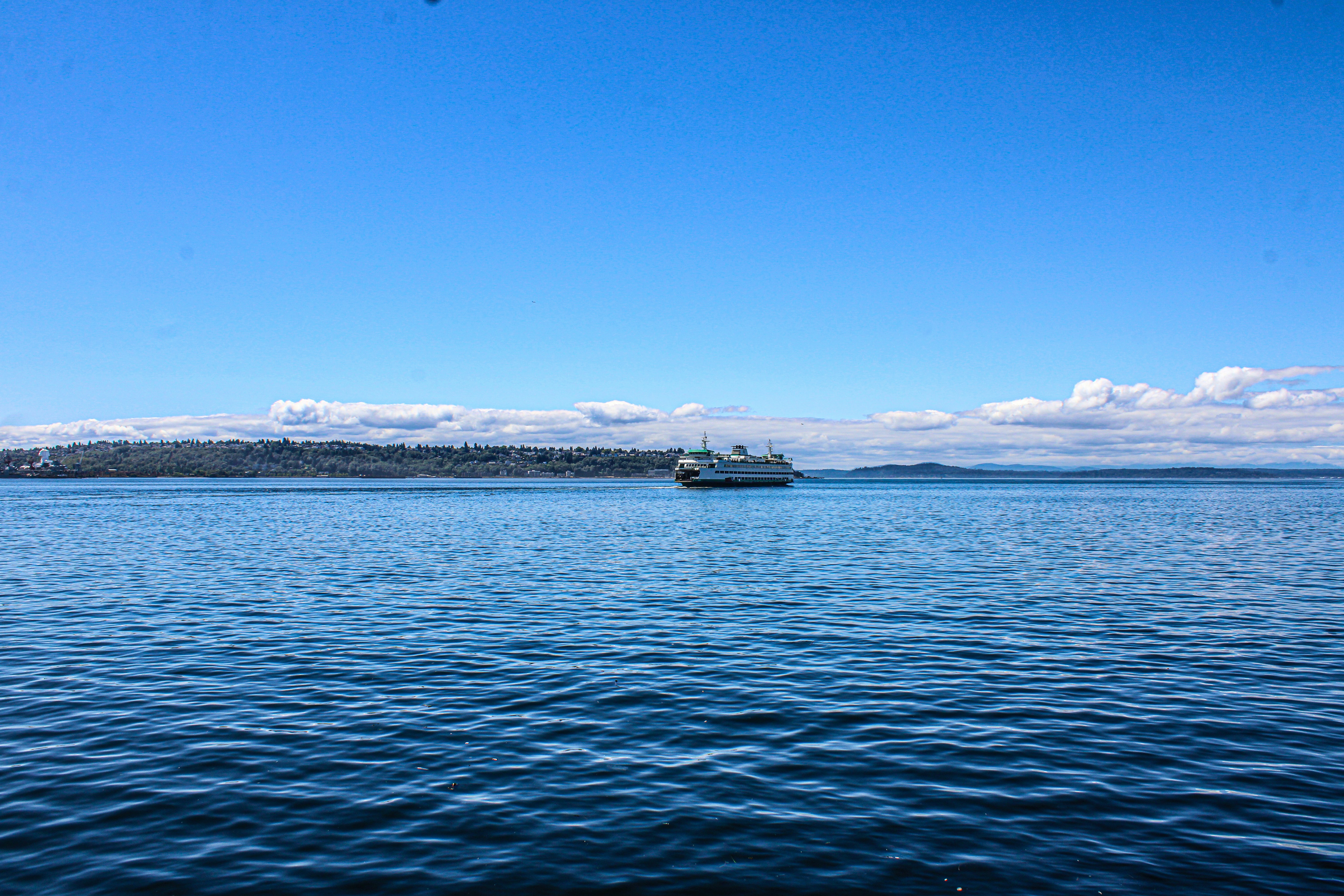 Photo by prphotography262