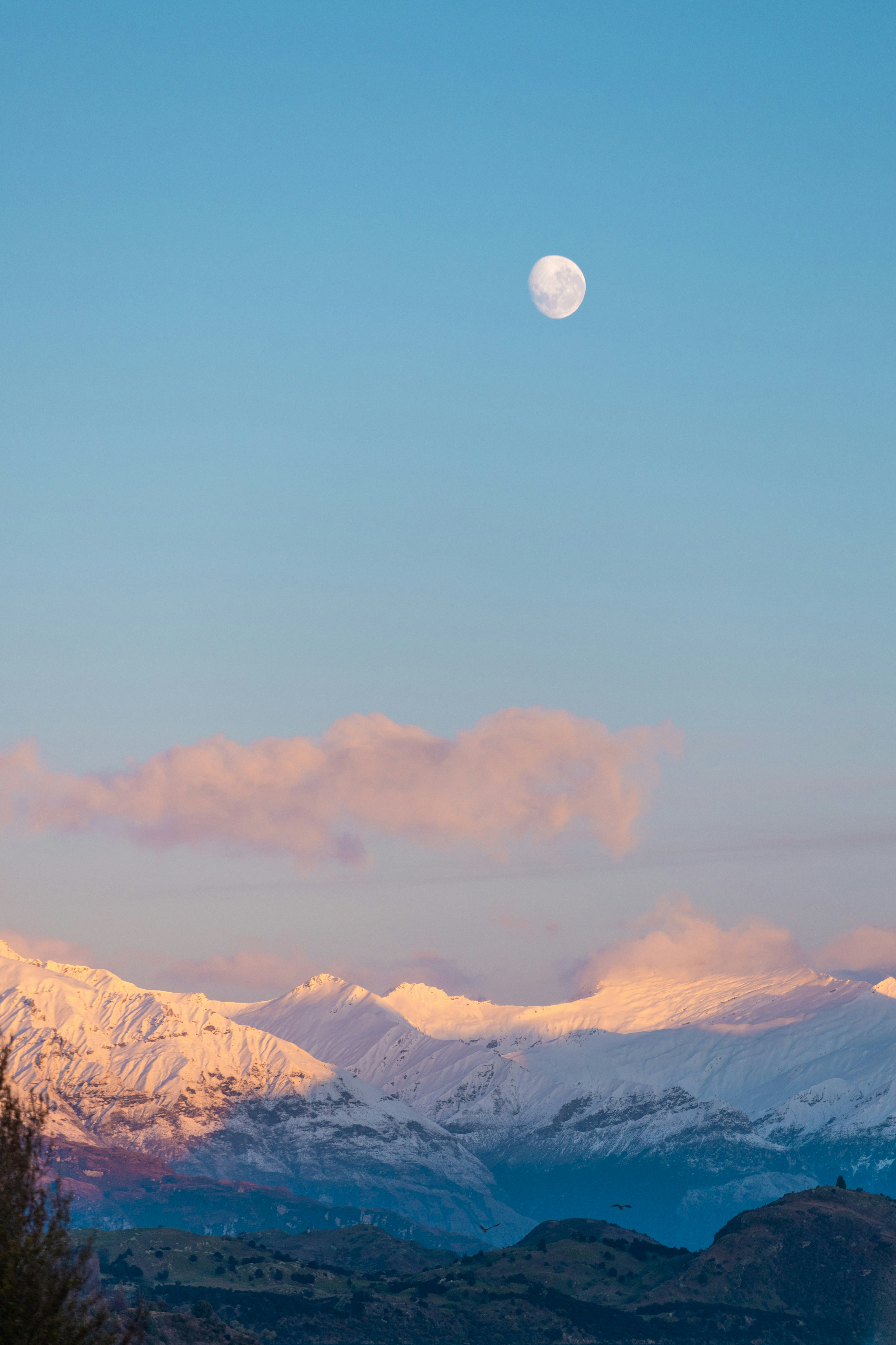 Photo by mdea_photography